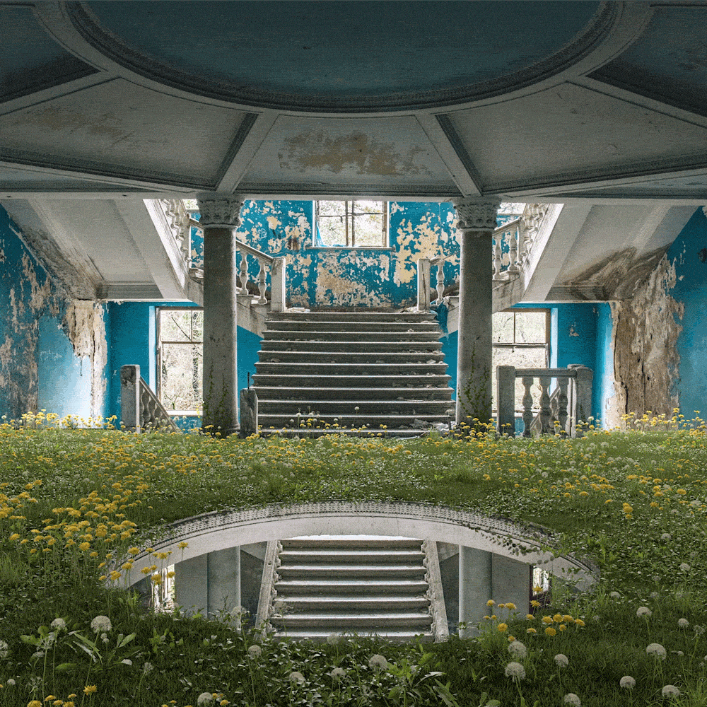 The Wild Within - 'Hollow'