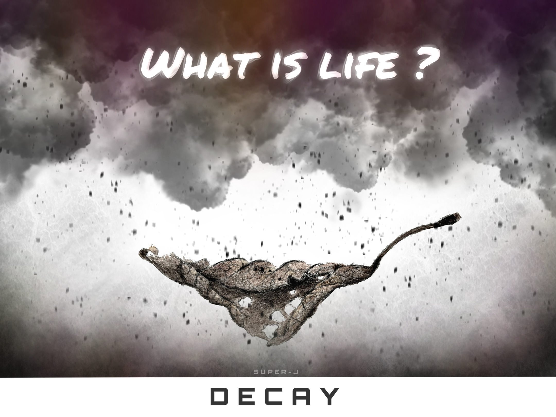 DECAY