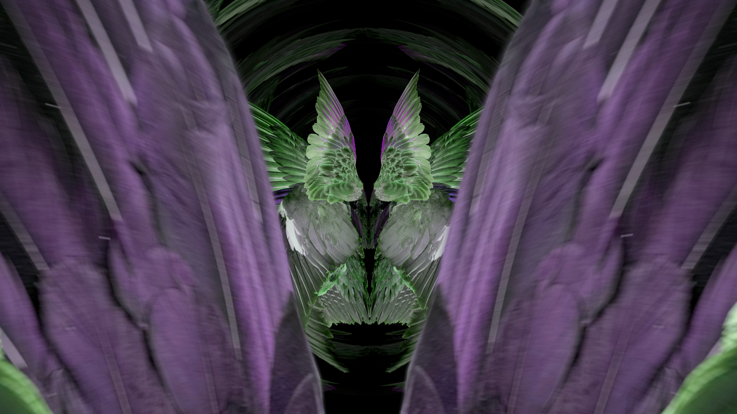 Fuga delle Sirene LXXX