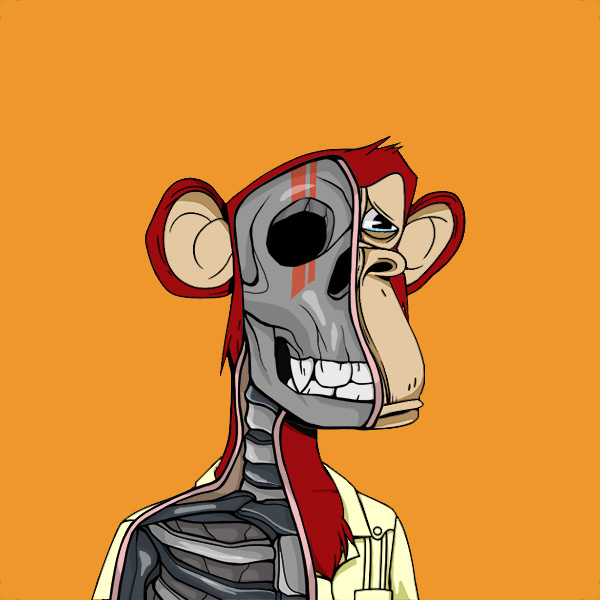 Anatomy Science Ape Club #2014