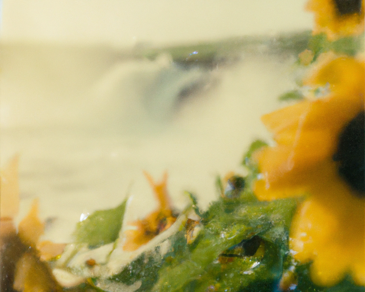 Tsunflower Chaos #134