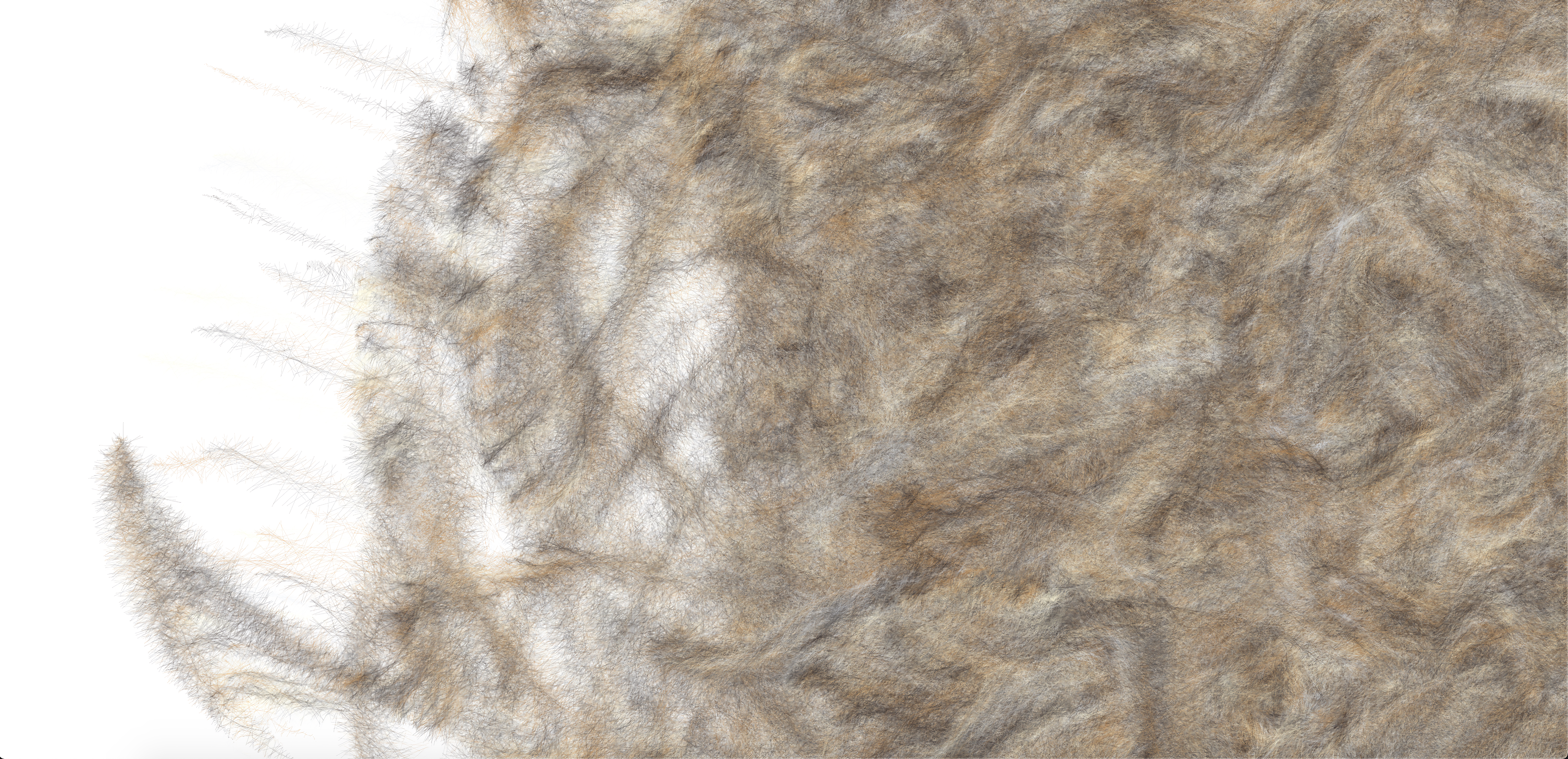 Towards a Newer Generative Cat tc59