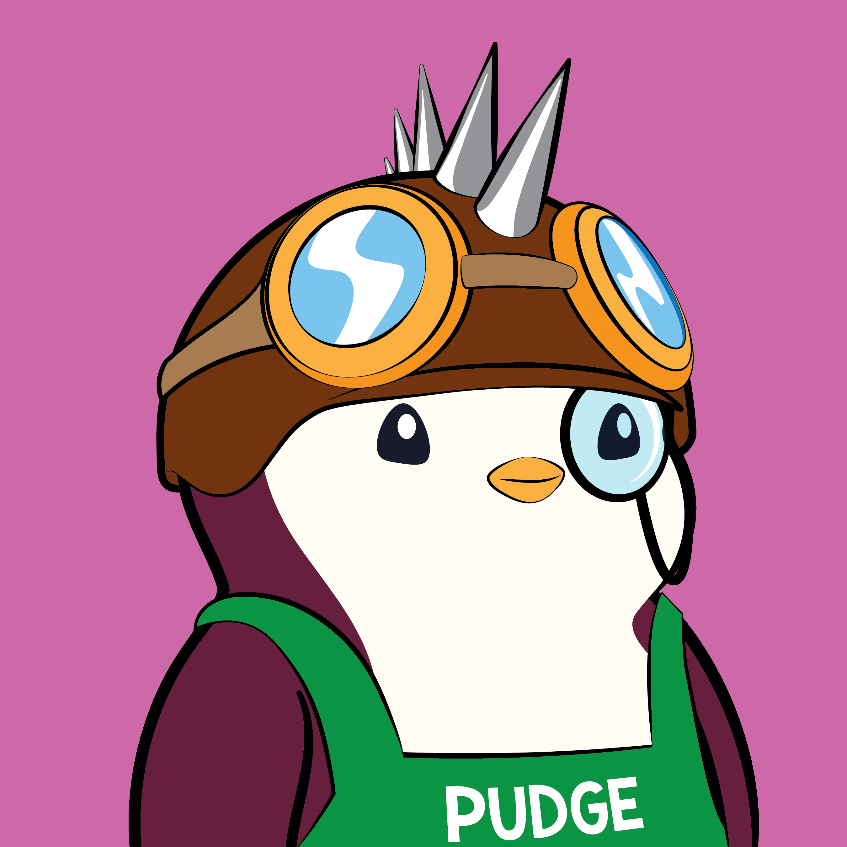 Pudgy #7906