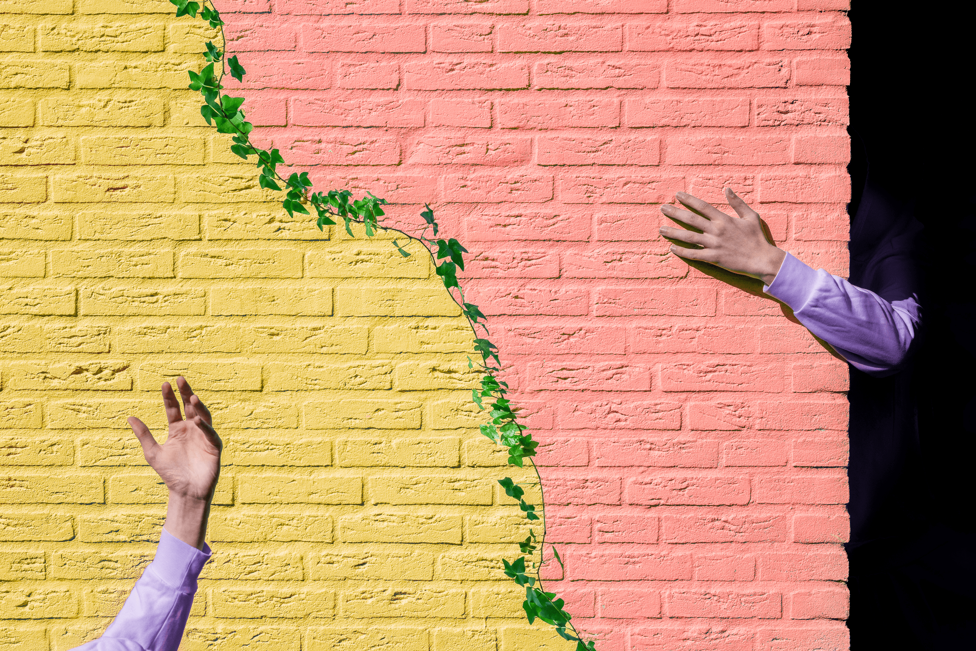 Nothing is Supposed to Make Sense #35