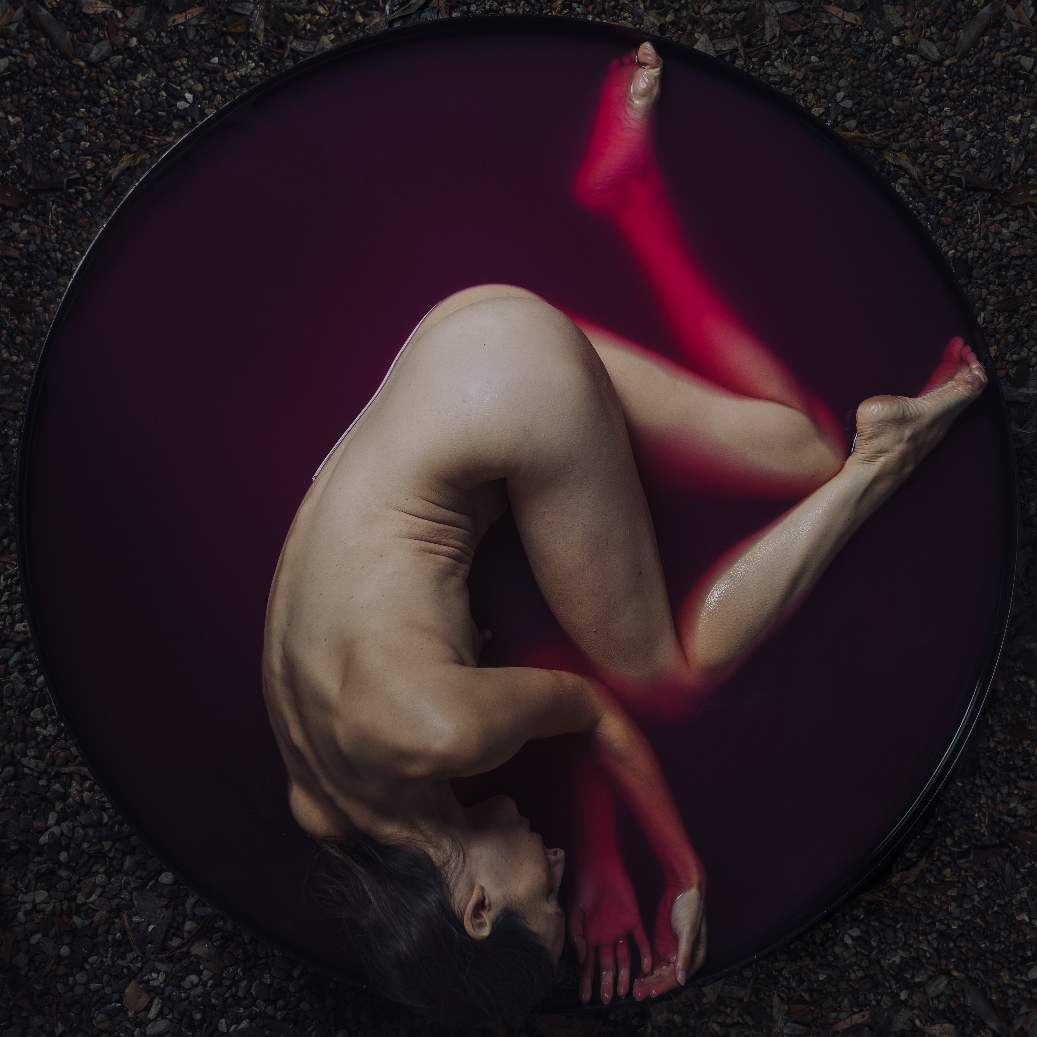 Preserved Beauty VII