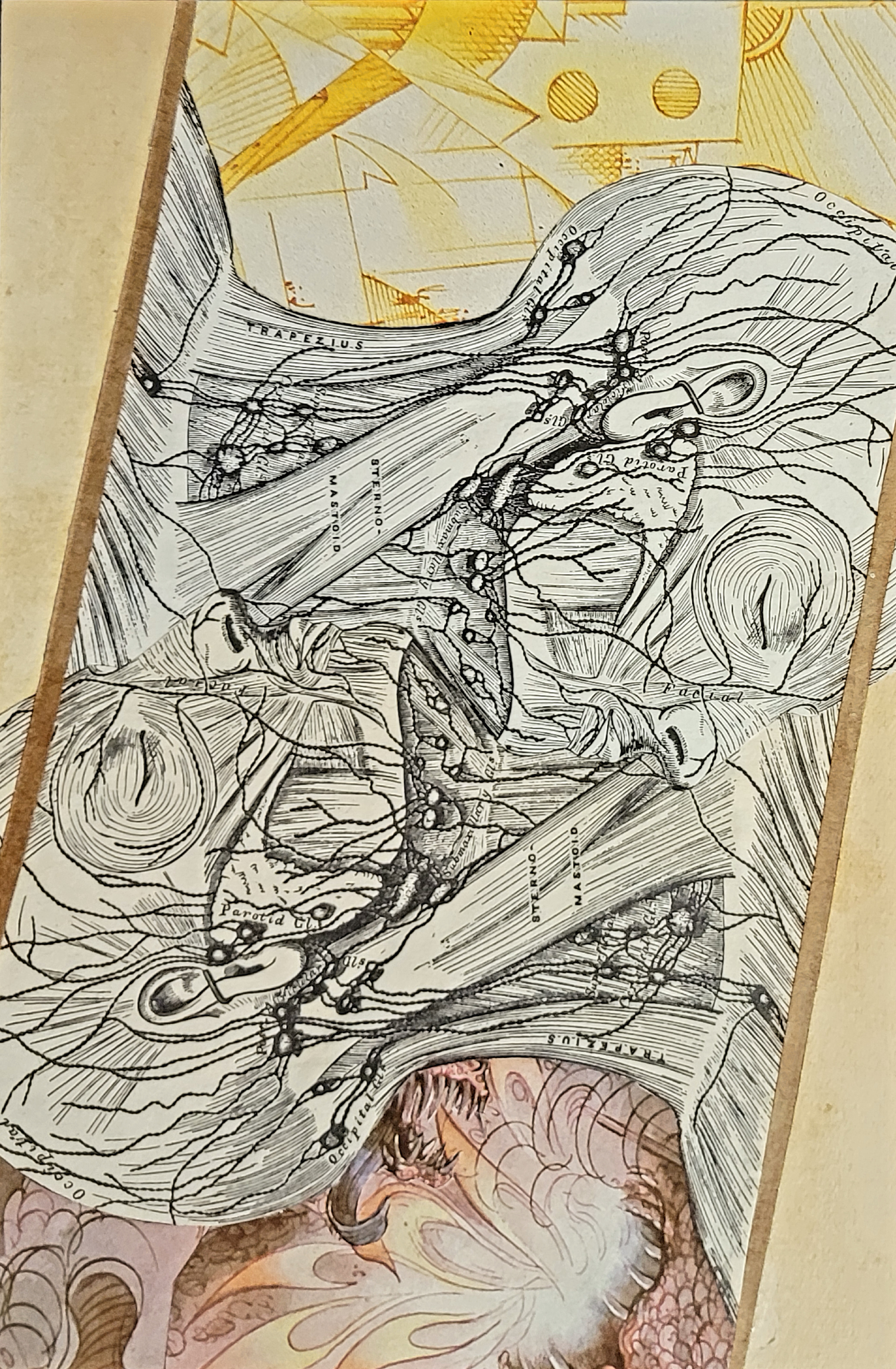 My Decisions Choose My Path