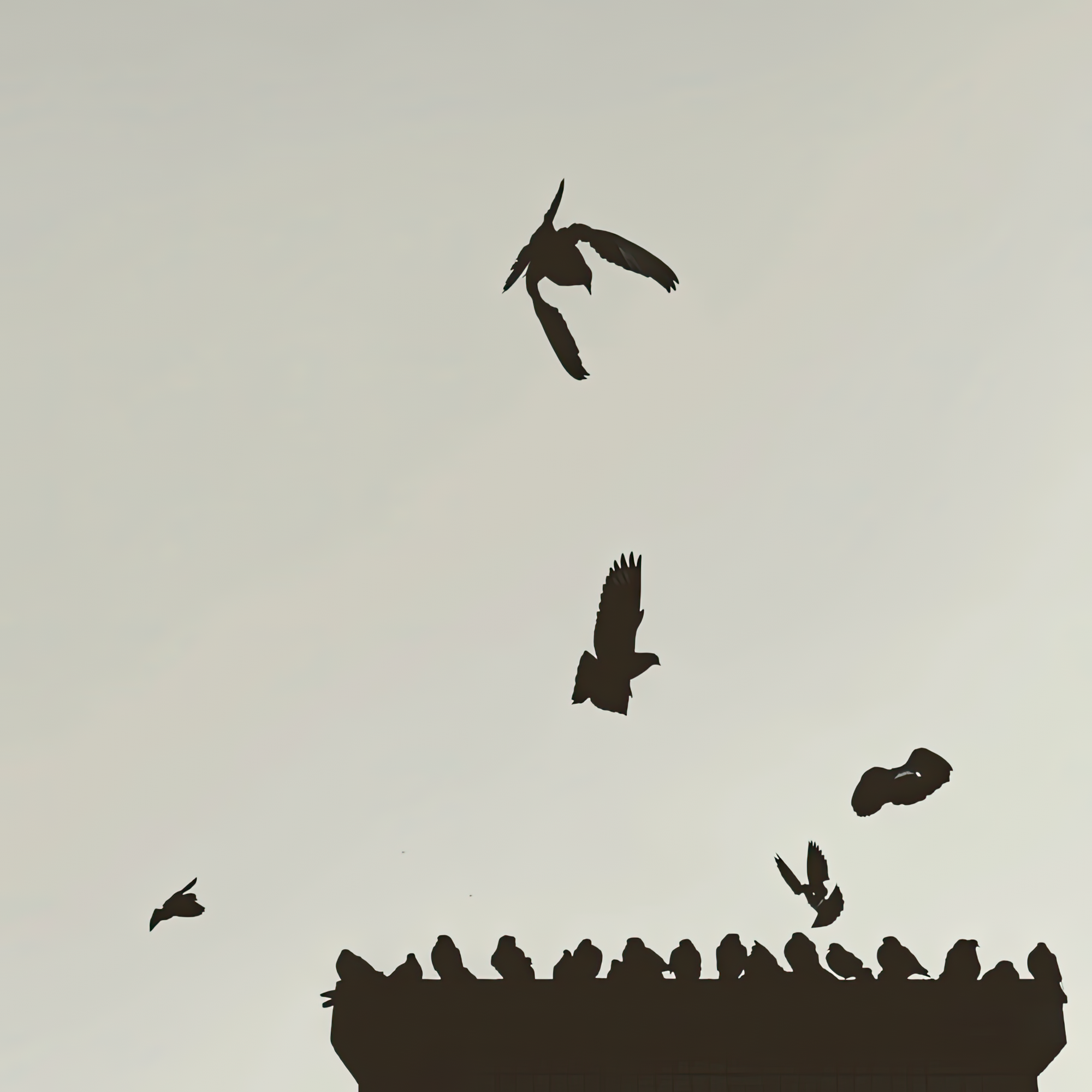 Migrating Has No End