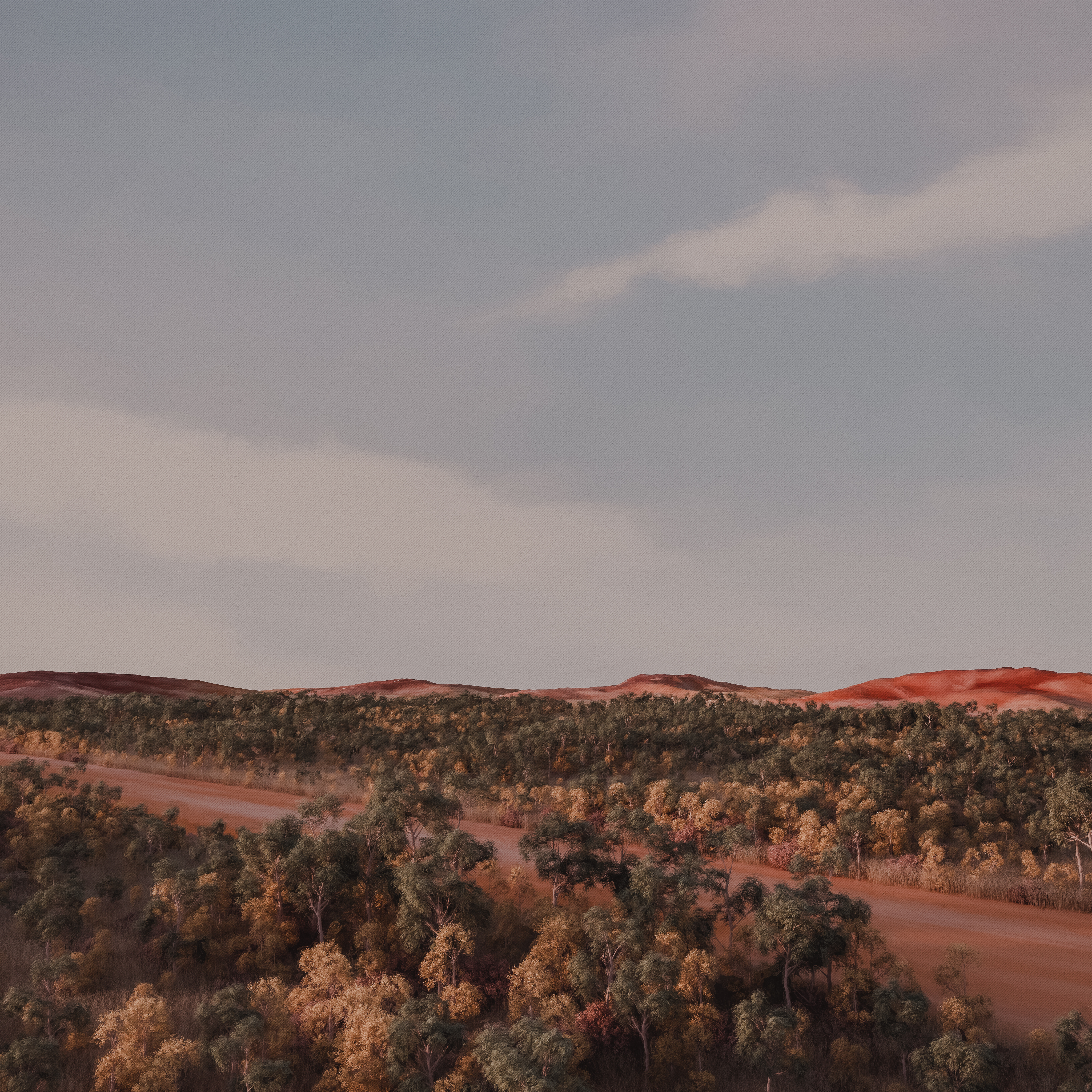 the red centre #61/80