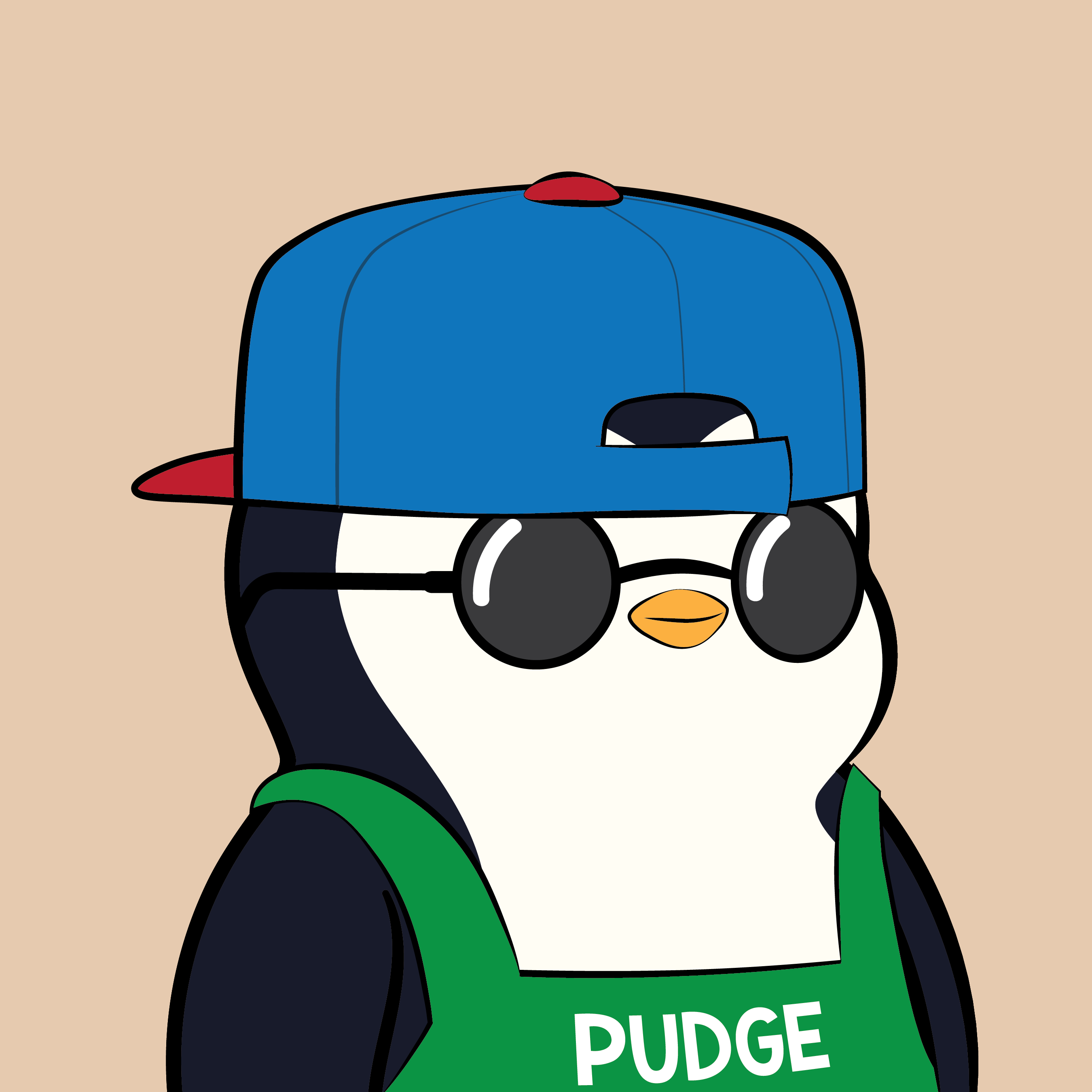 Pudgy #2992