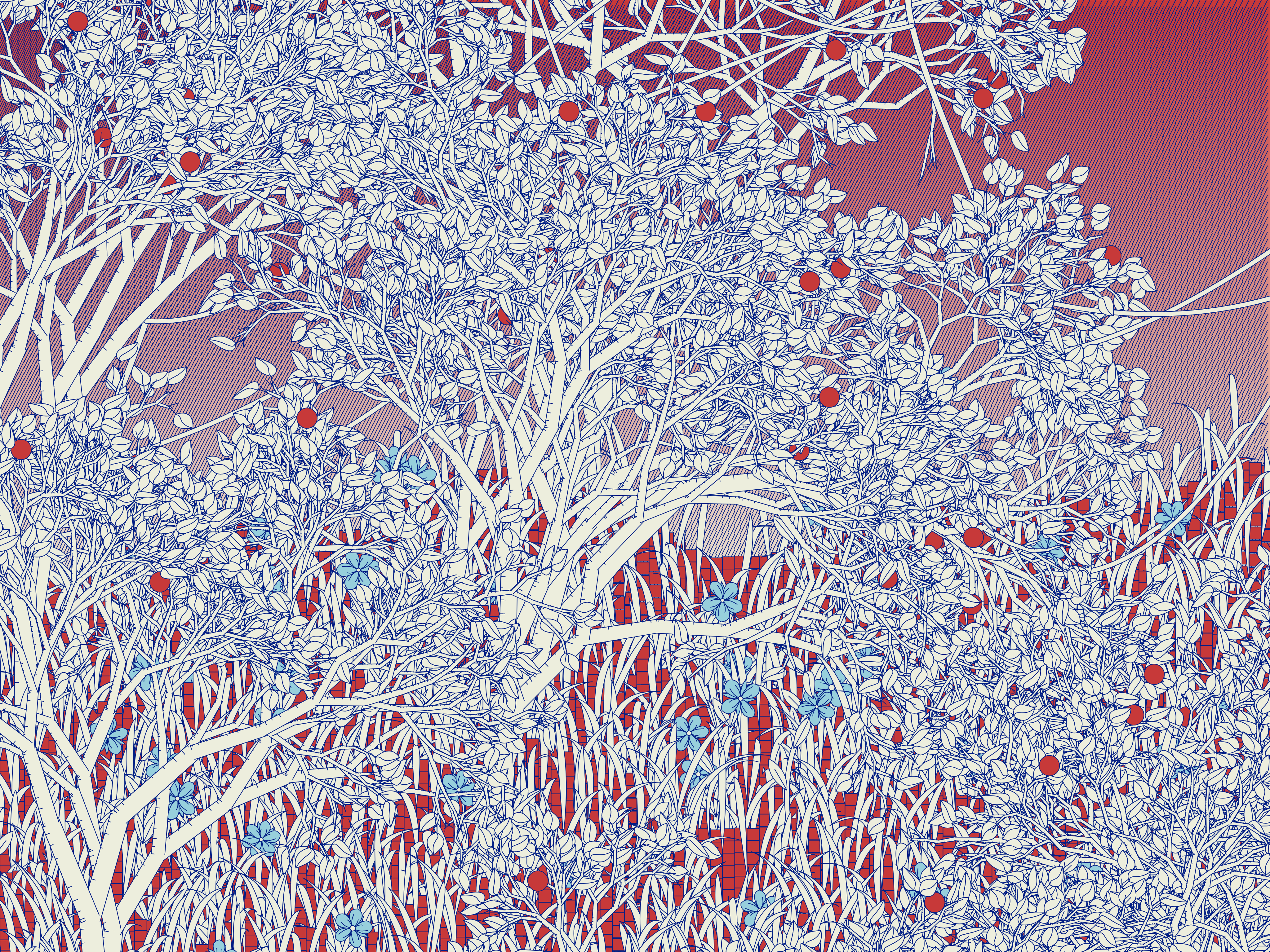 Entangled #432