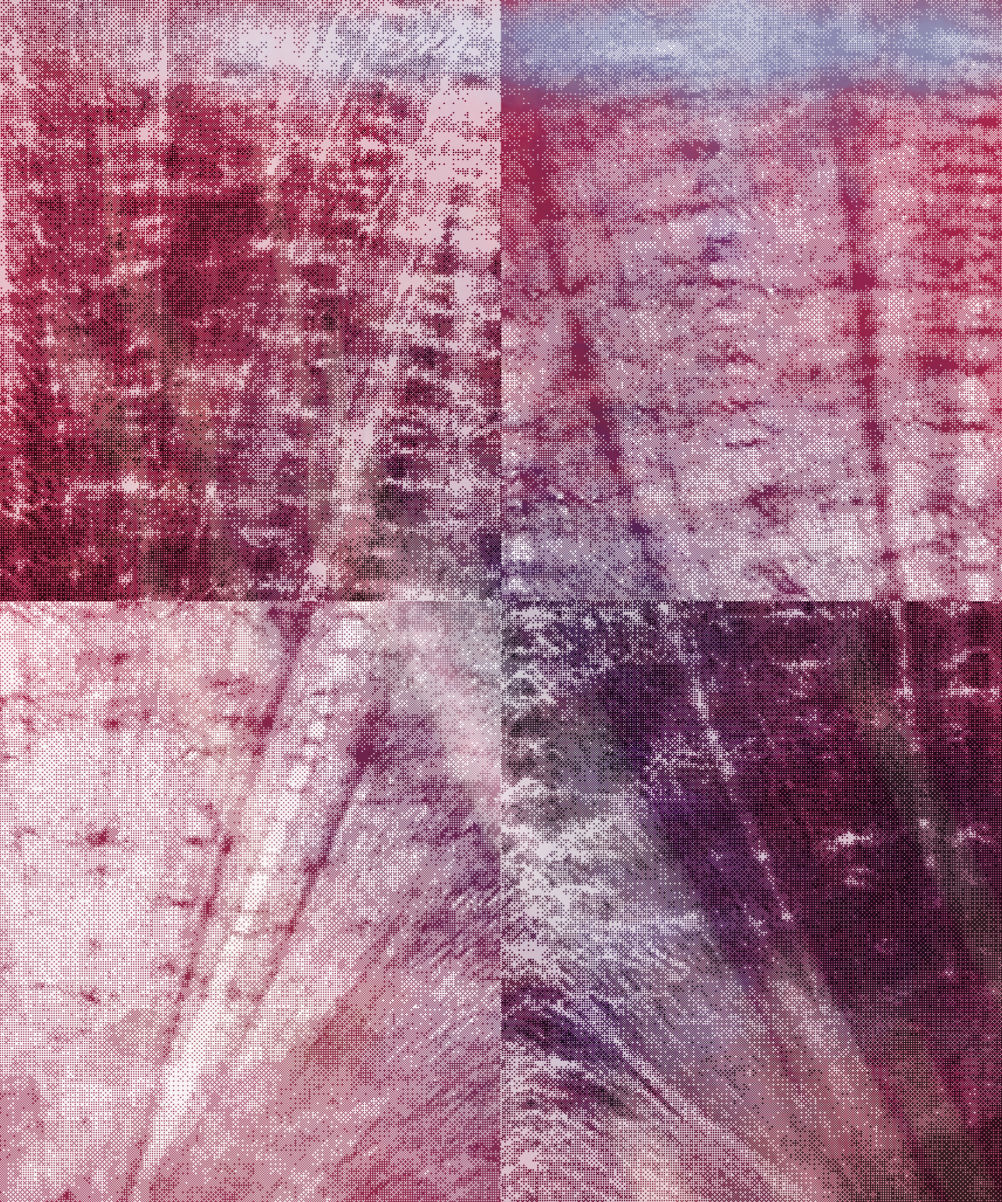 the spring begins with the first rainstorm #107