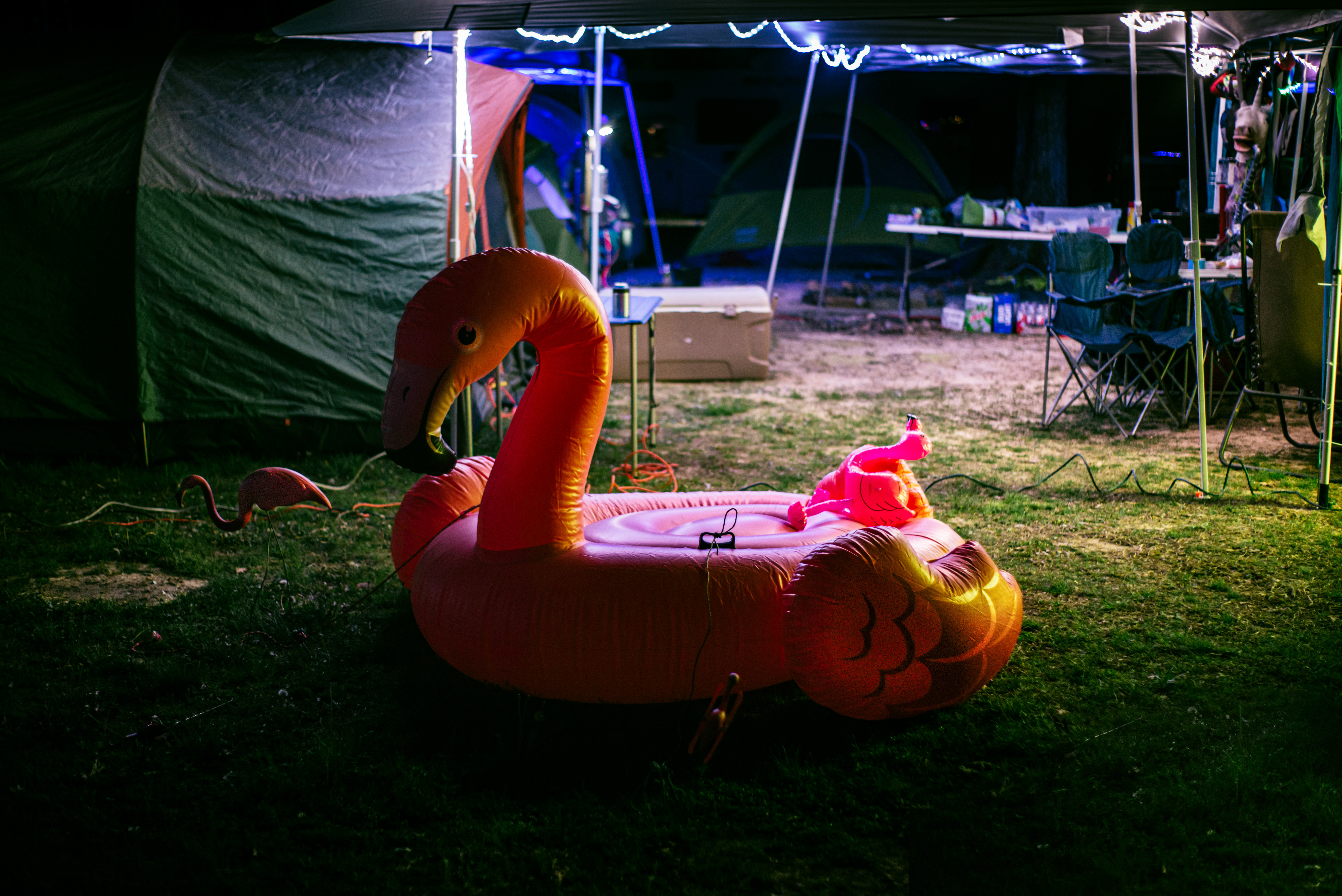 Mneme 3 / Mulberry Mountain, AR