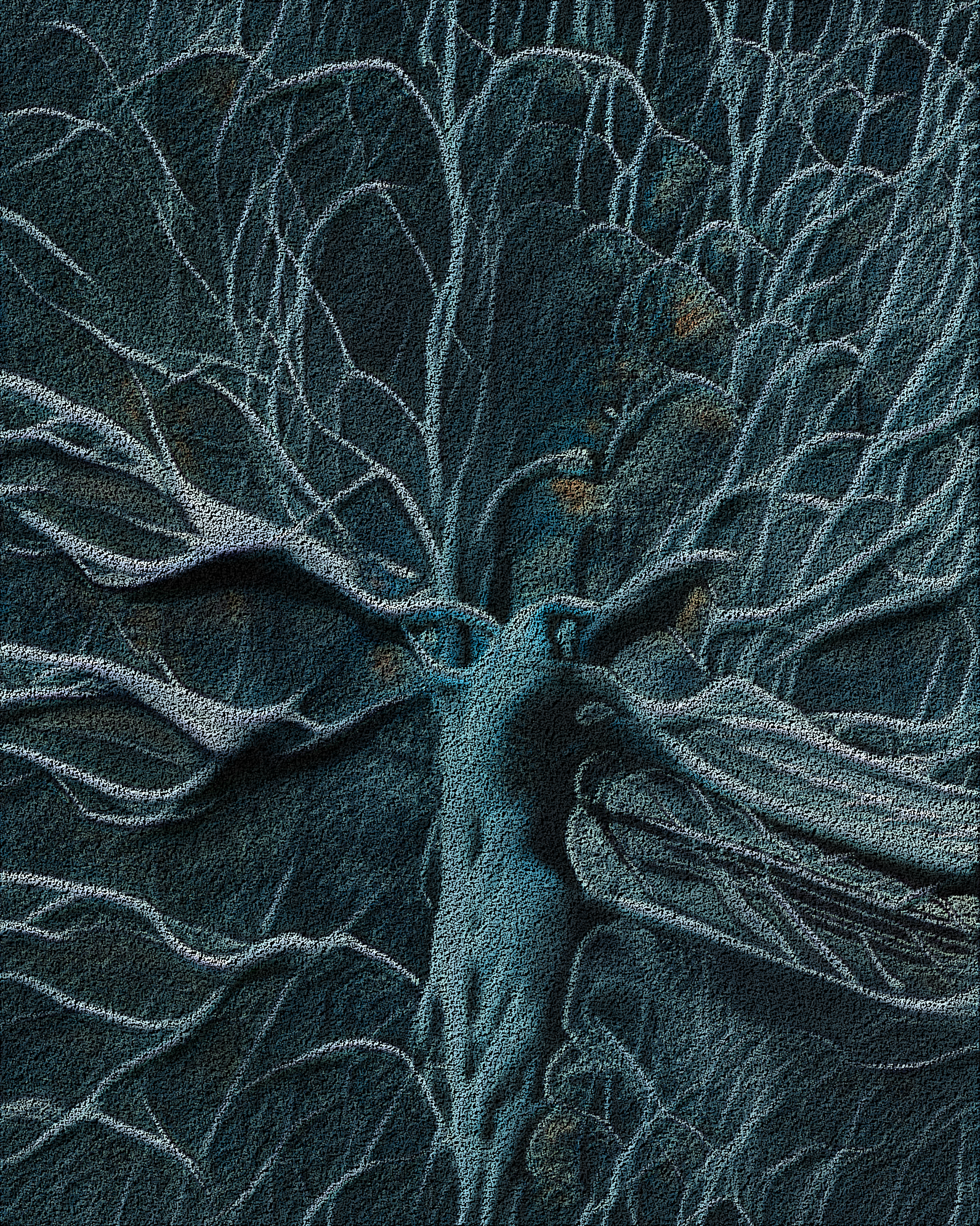 Nondescriptives | #31