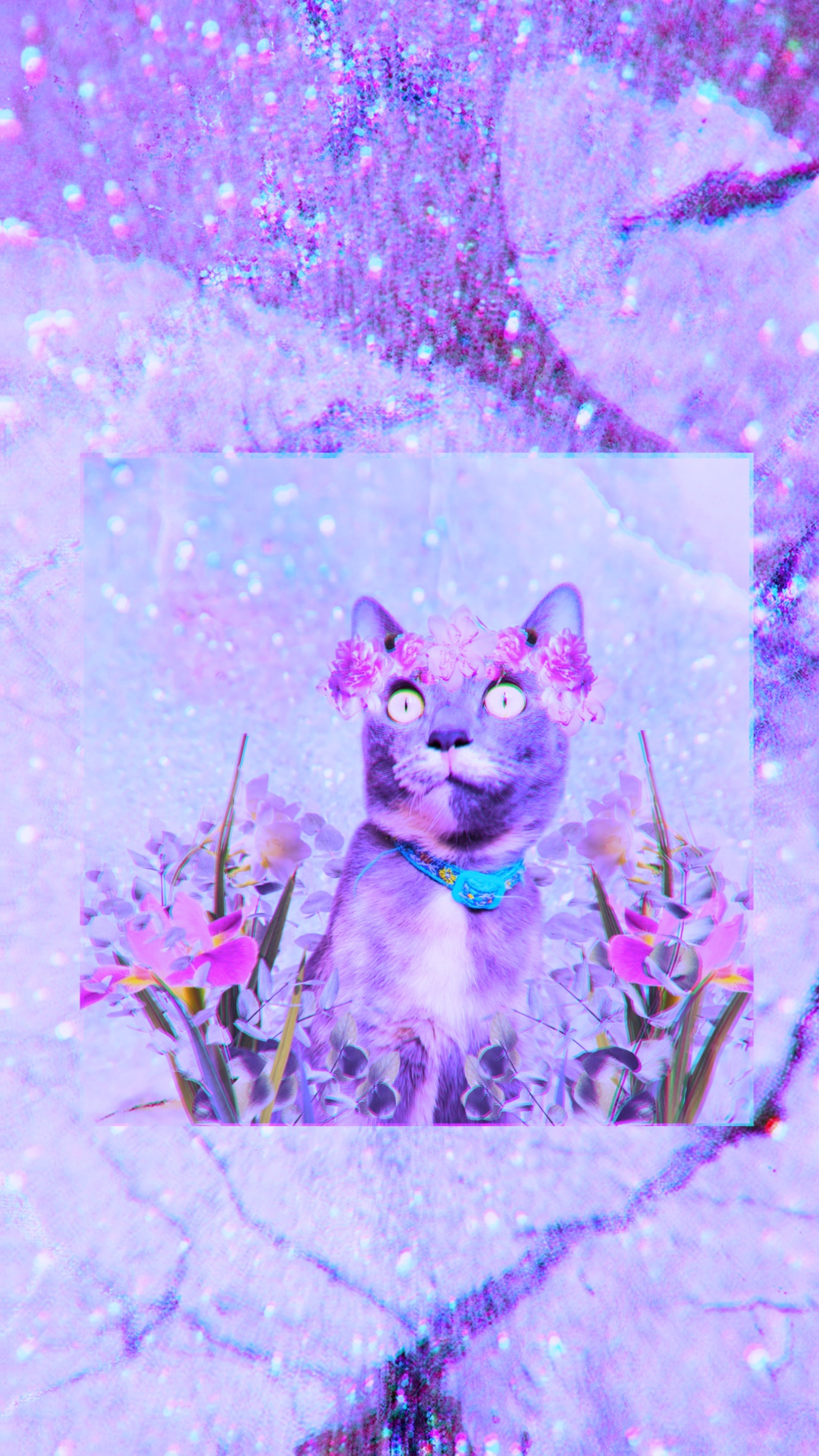 Floresilla IV | An edition for special friends #1