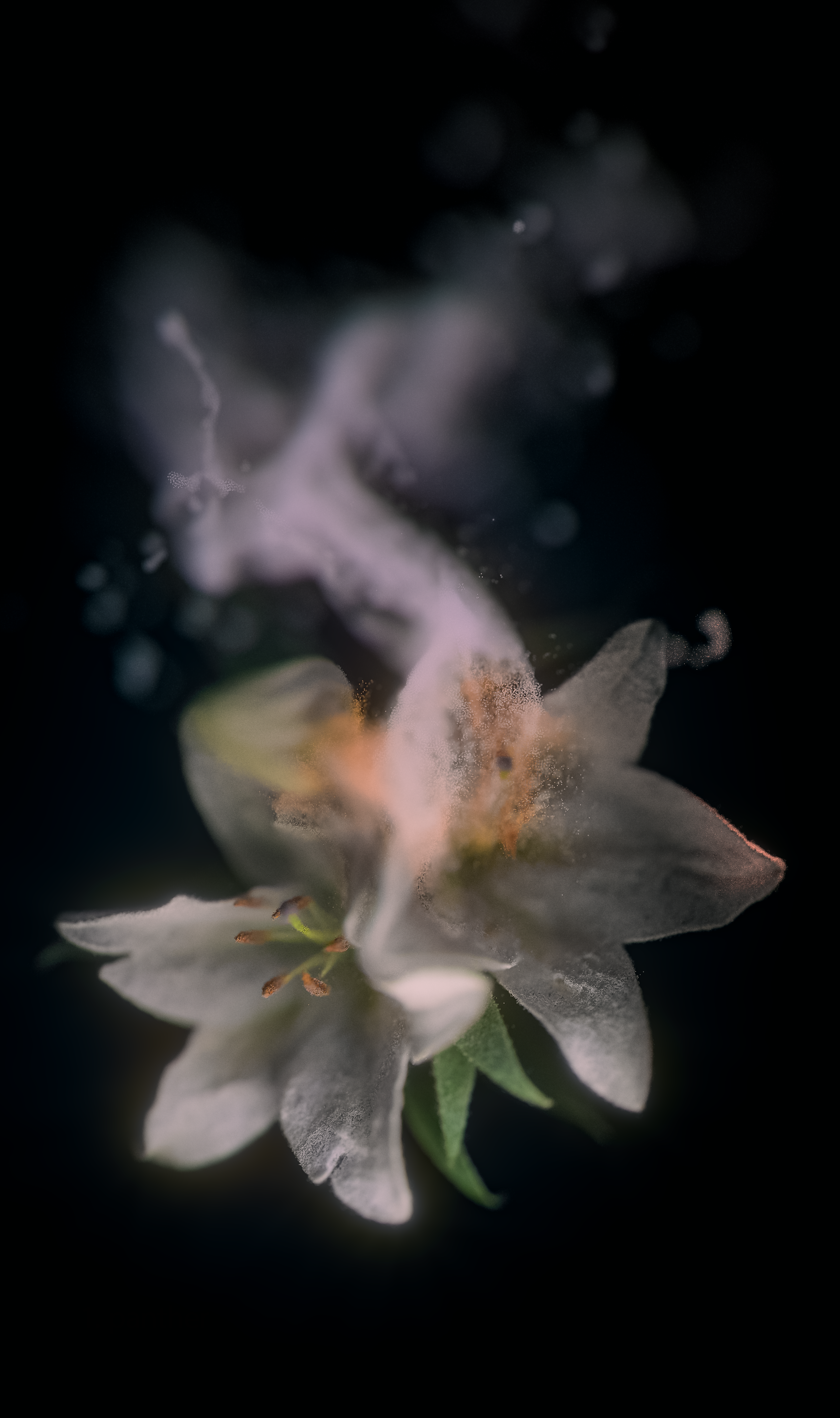 An invitation to study