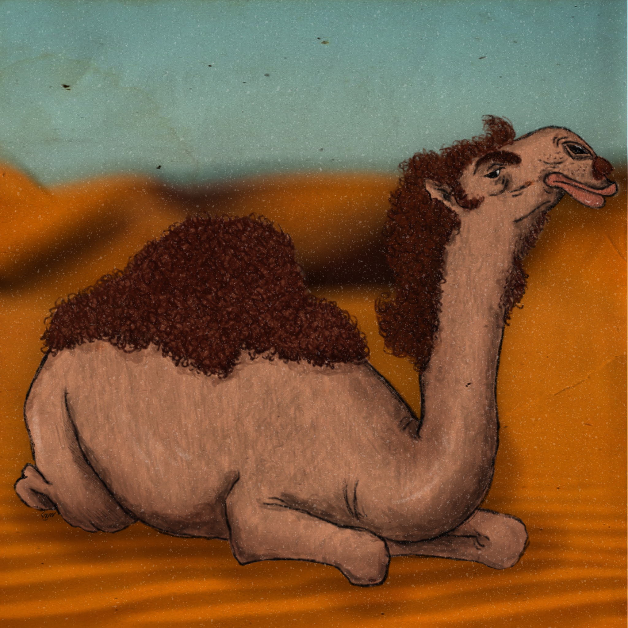 The Camel's Grudge