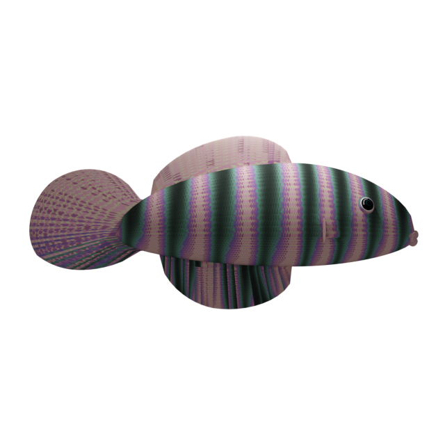 Bitcoin Fish
