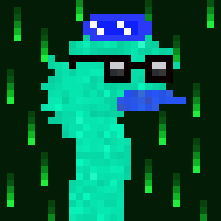 Canto Longneck #338