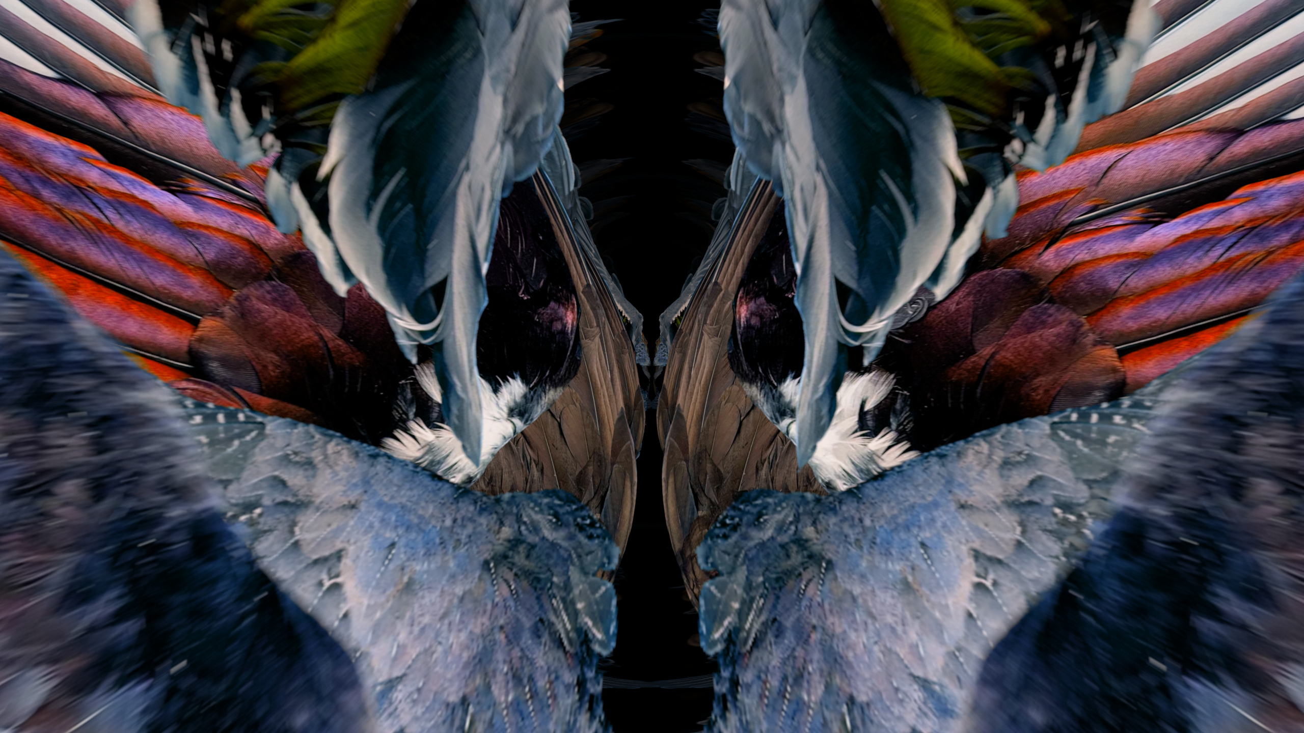 Fuga delle Sirene XXXI