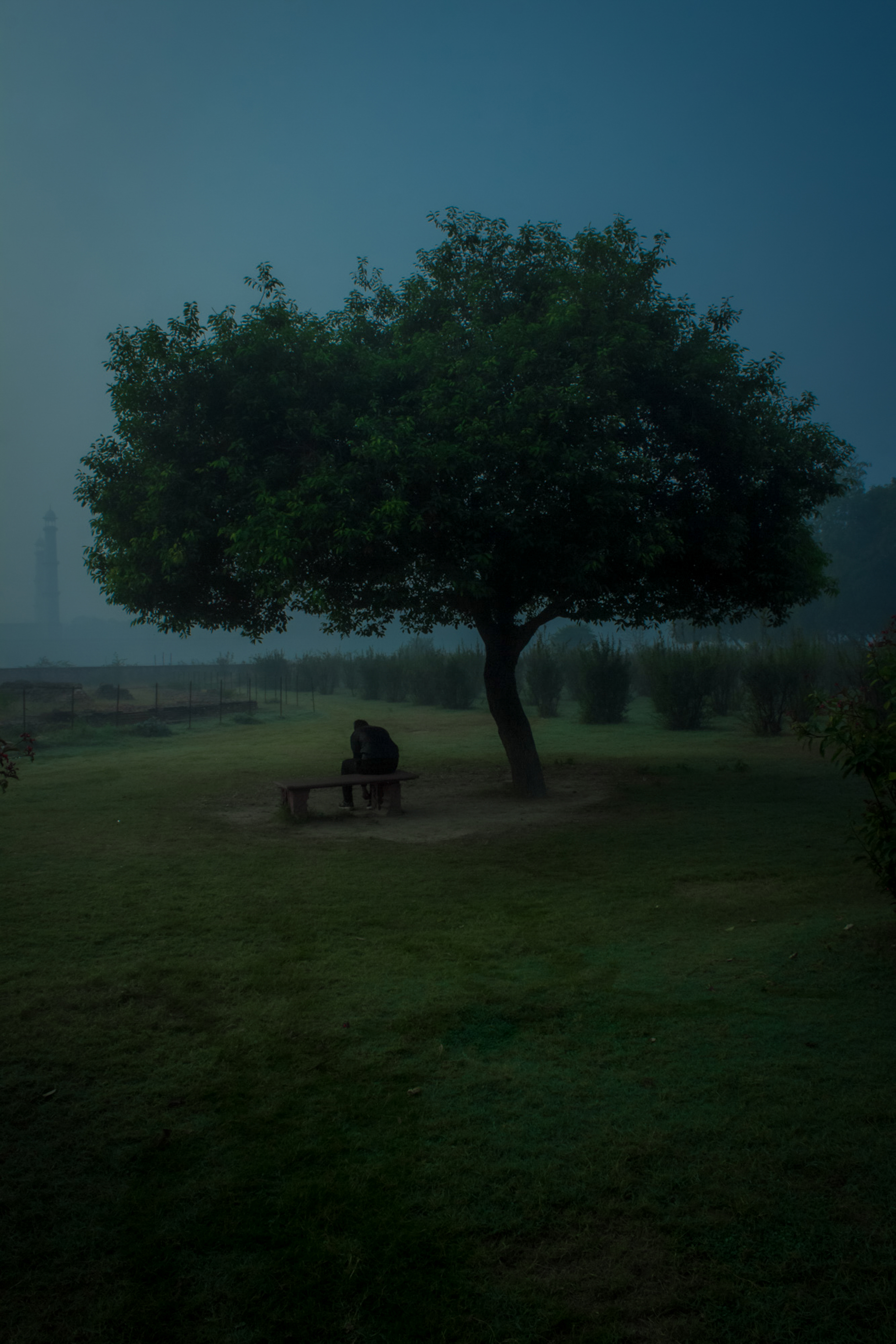 Calm After the Chaos