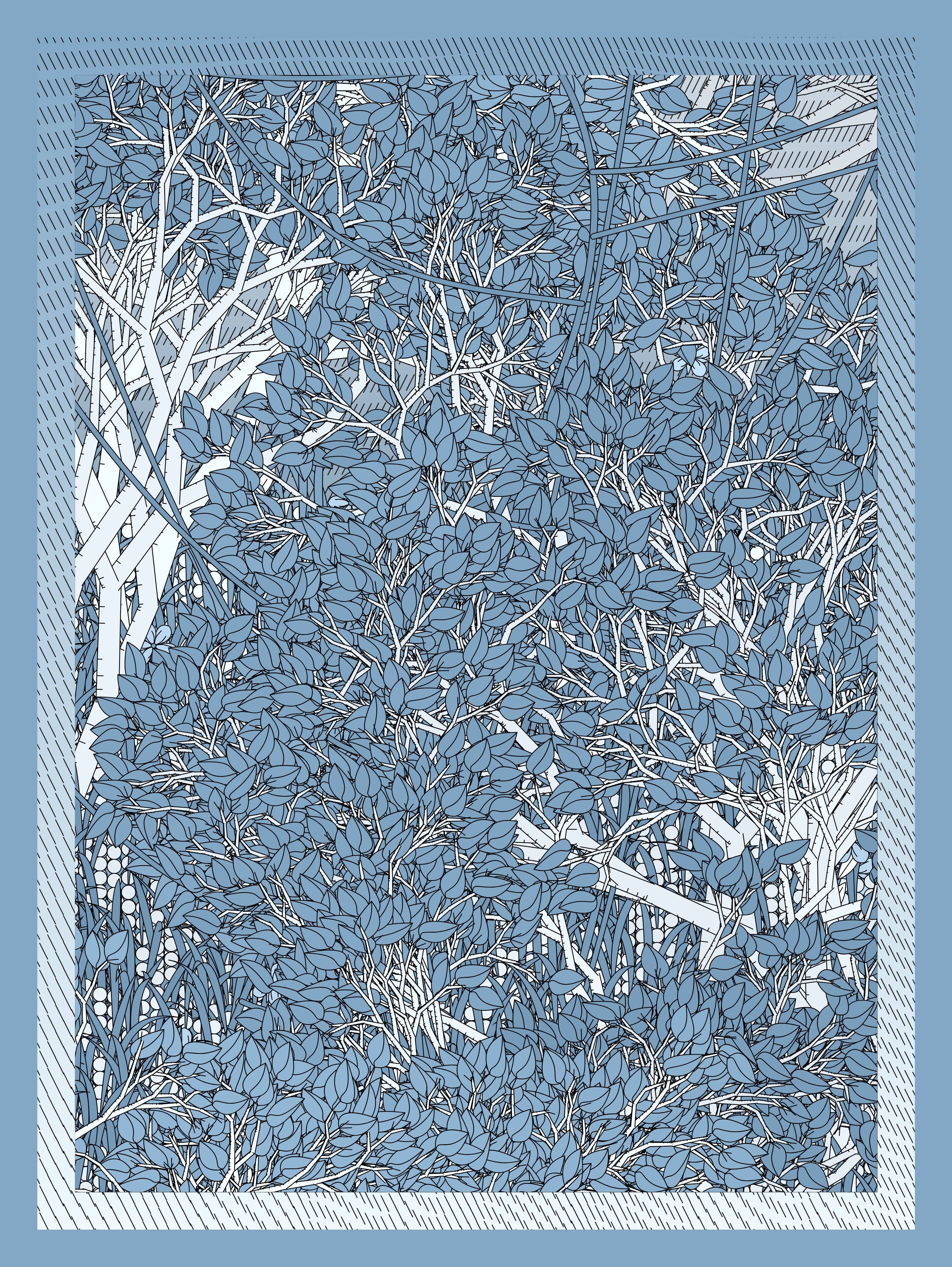 Entangled #176