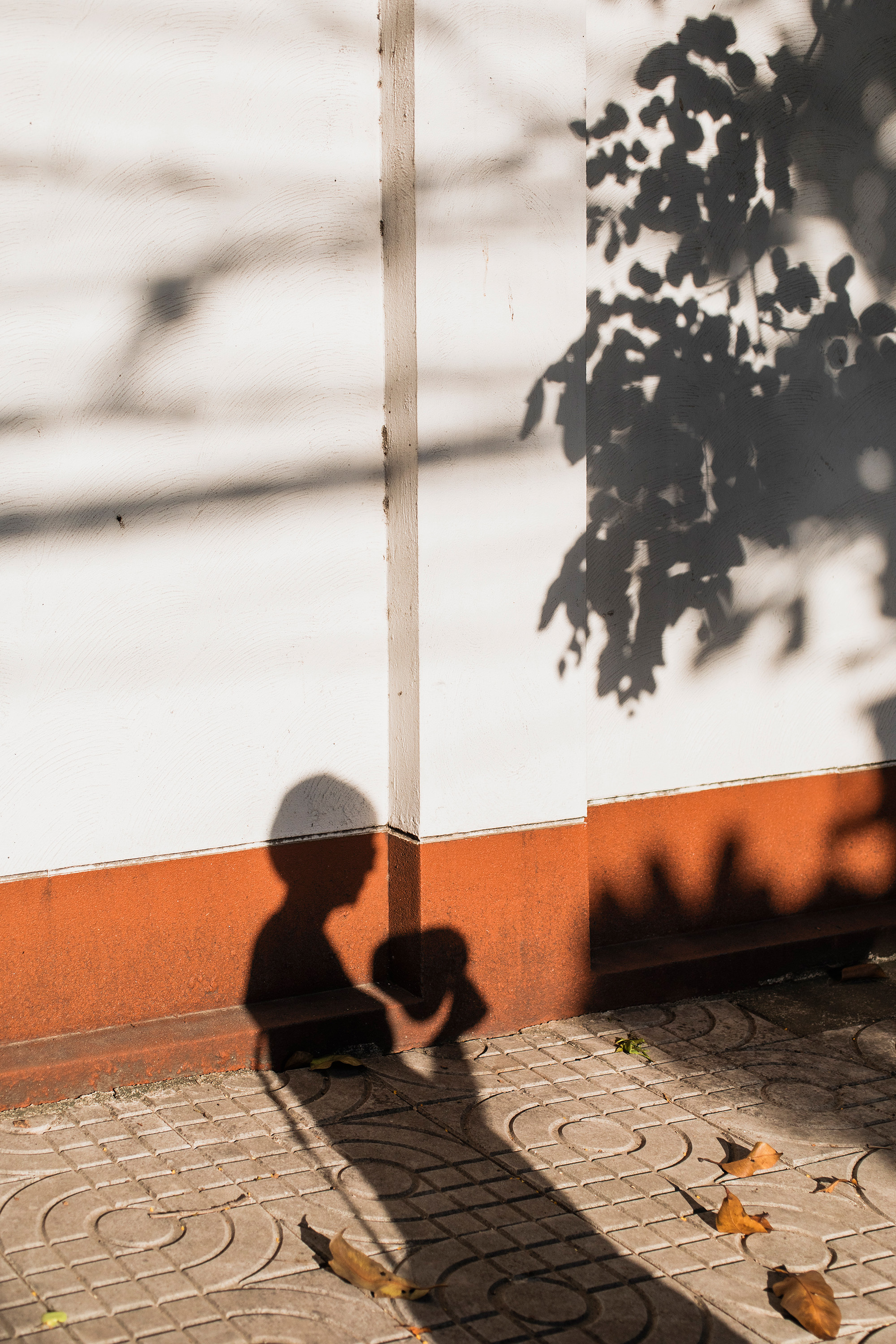 Tango in the Big Mango #29