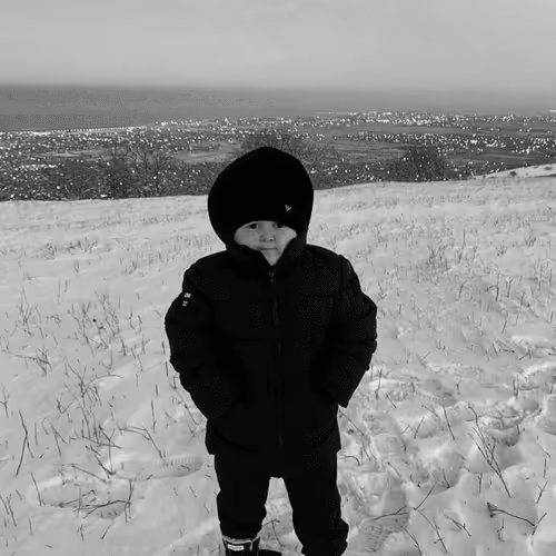 bebrick.eth Ethereum Name Service (ENS and .eth domain) PFP