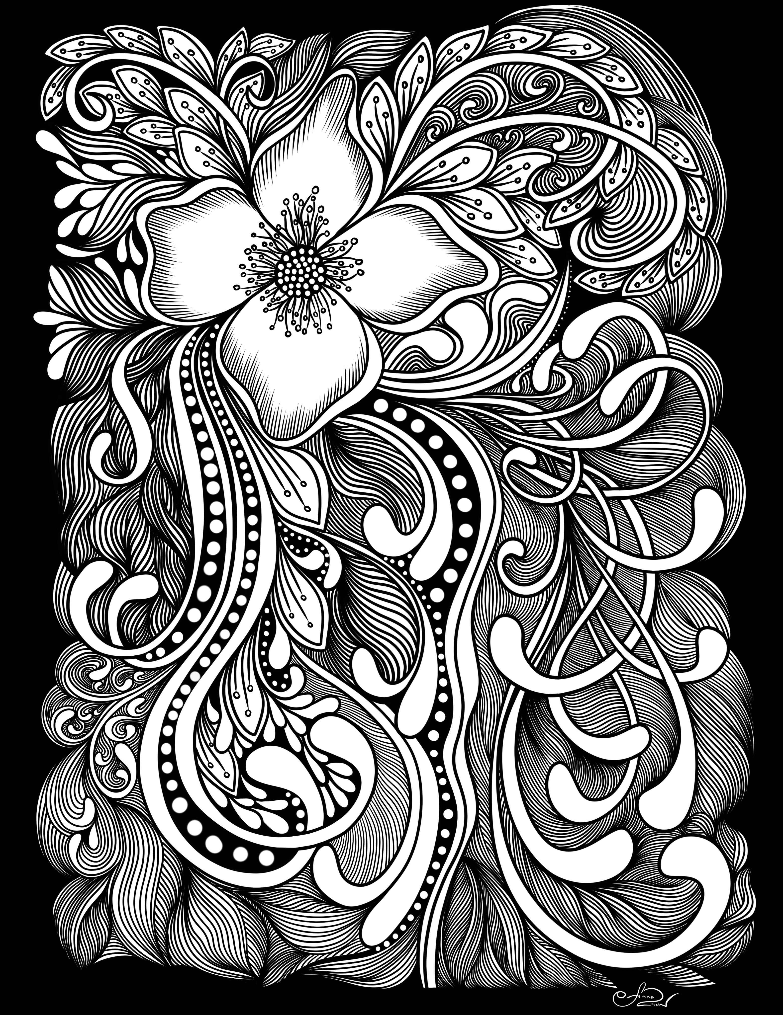 Symphony of Lines