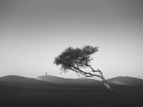 In To The Light 5/24