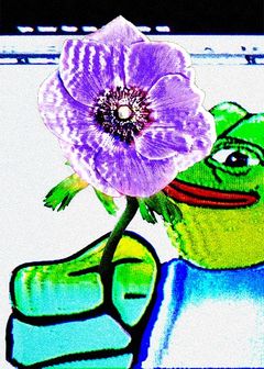 NICEDAYPEPE | Series 18 Card 16