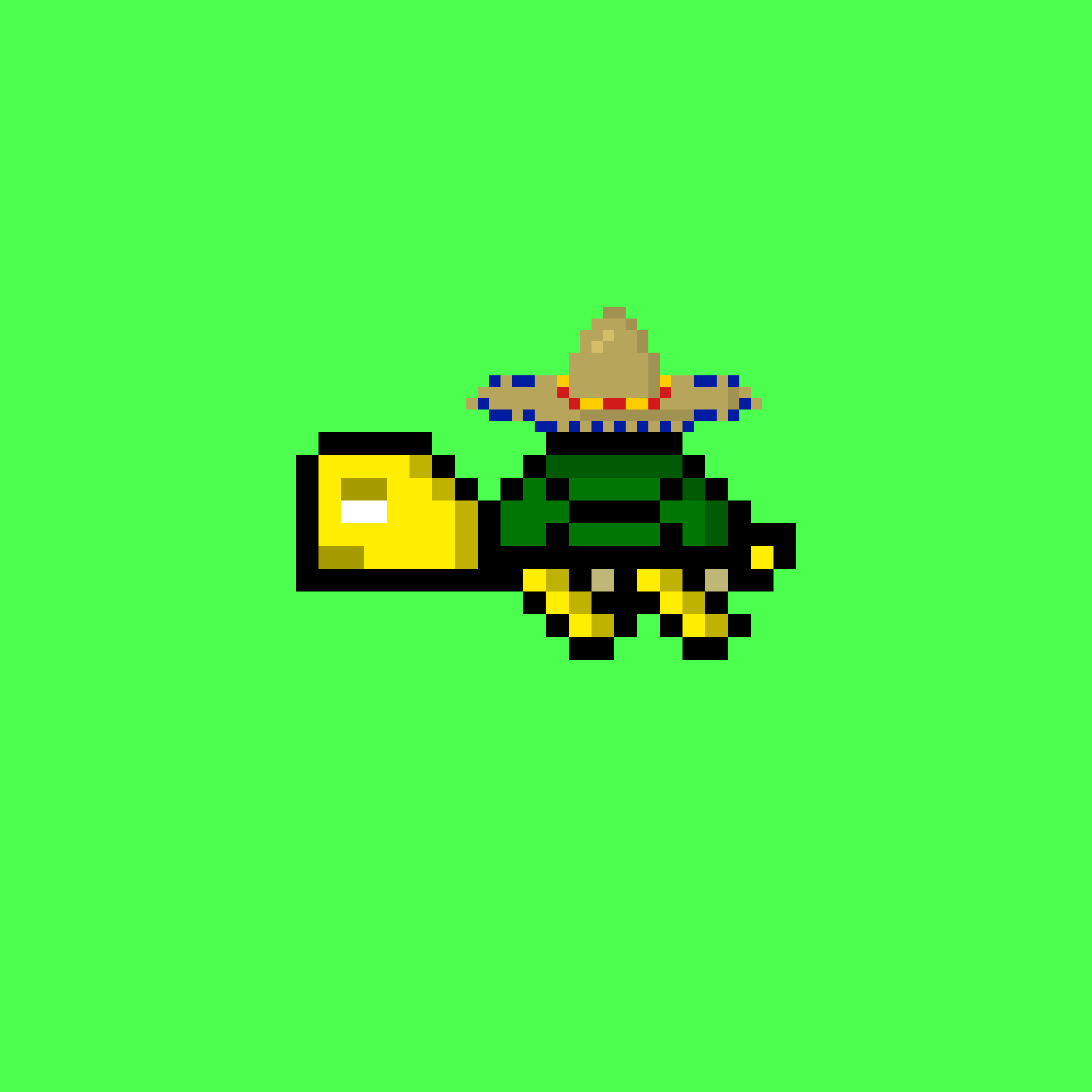 DAO Turtle #9
