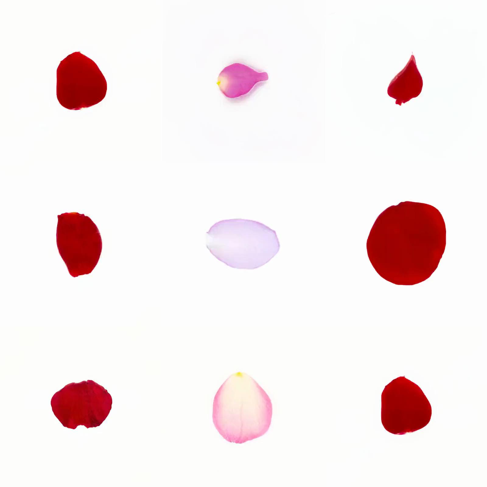 Infinite Petals 3x3#20066