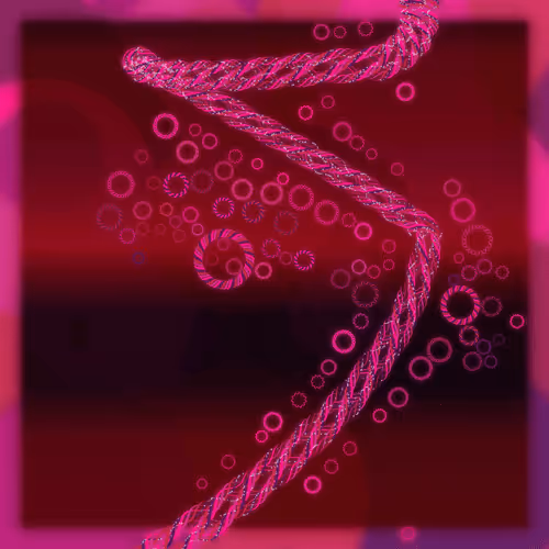 Friendship Bracelets #2081