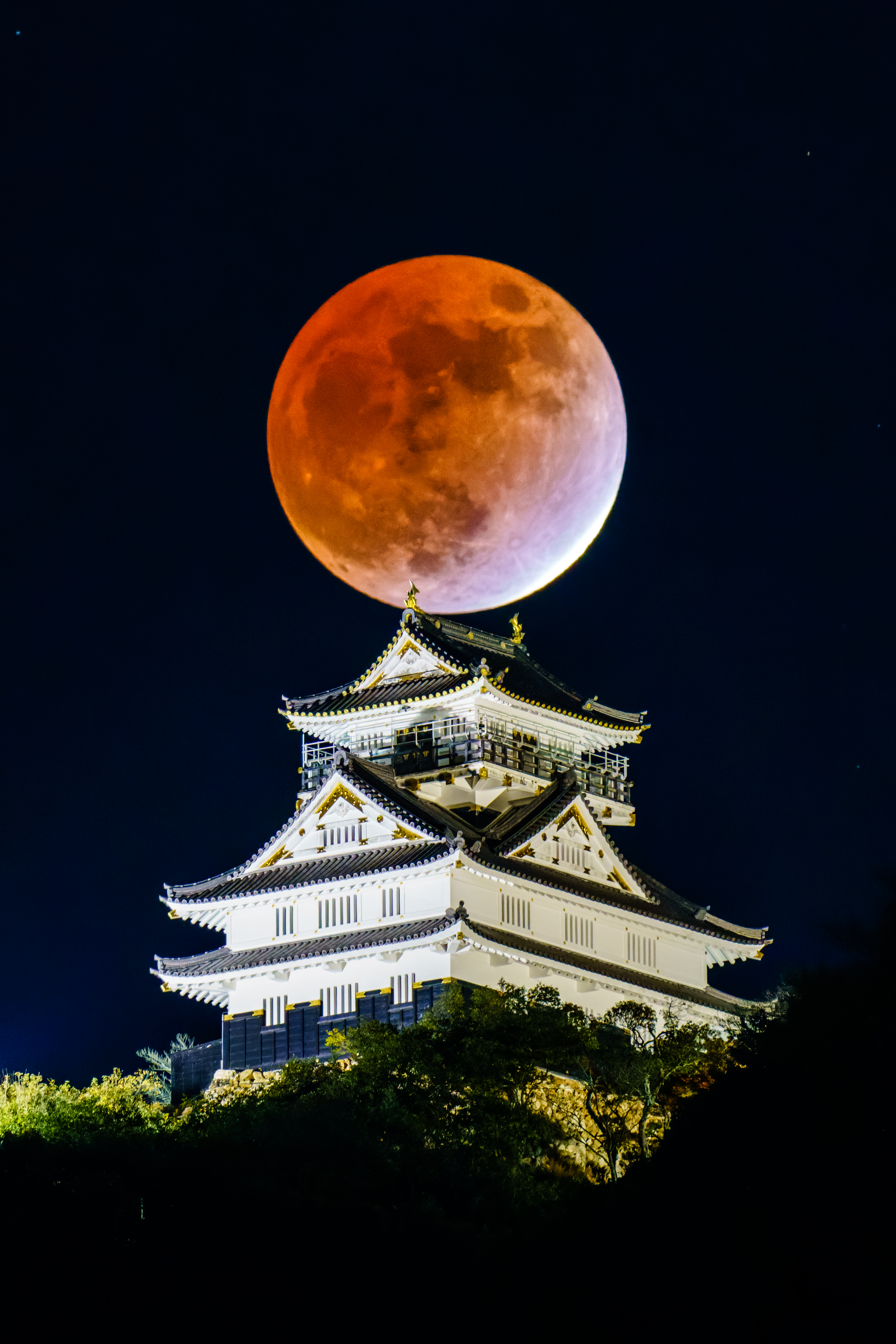 Moon and the Castle