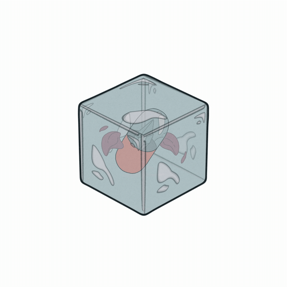 Black Box #446