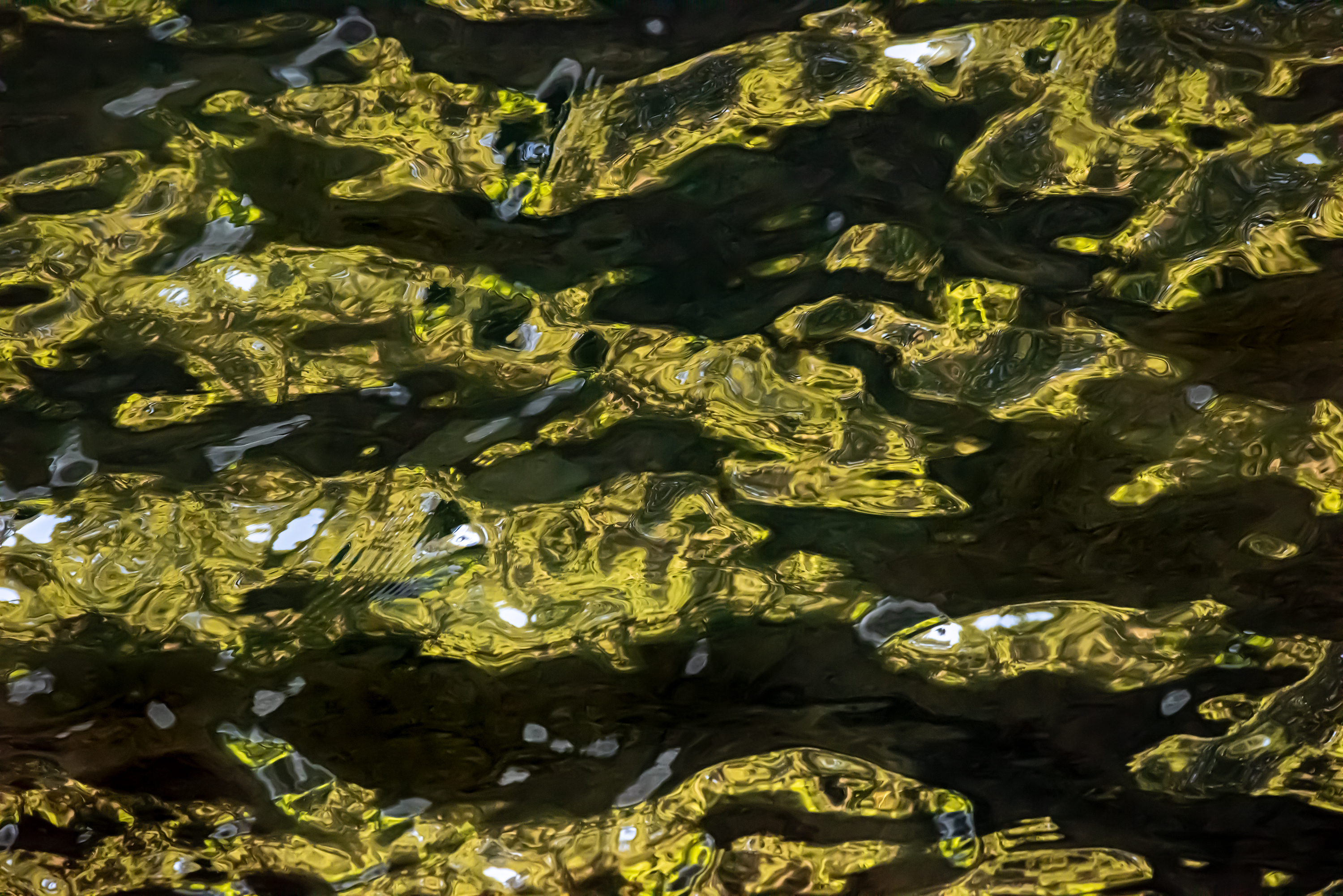 Ebb and Flow #80