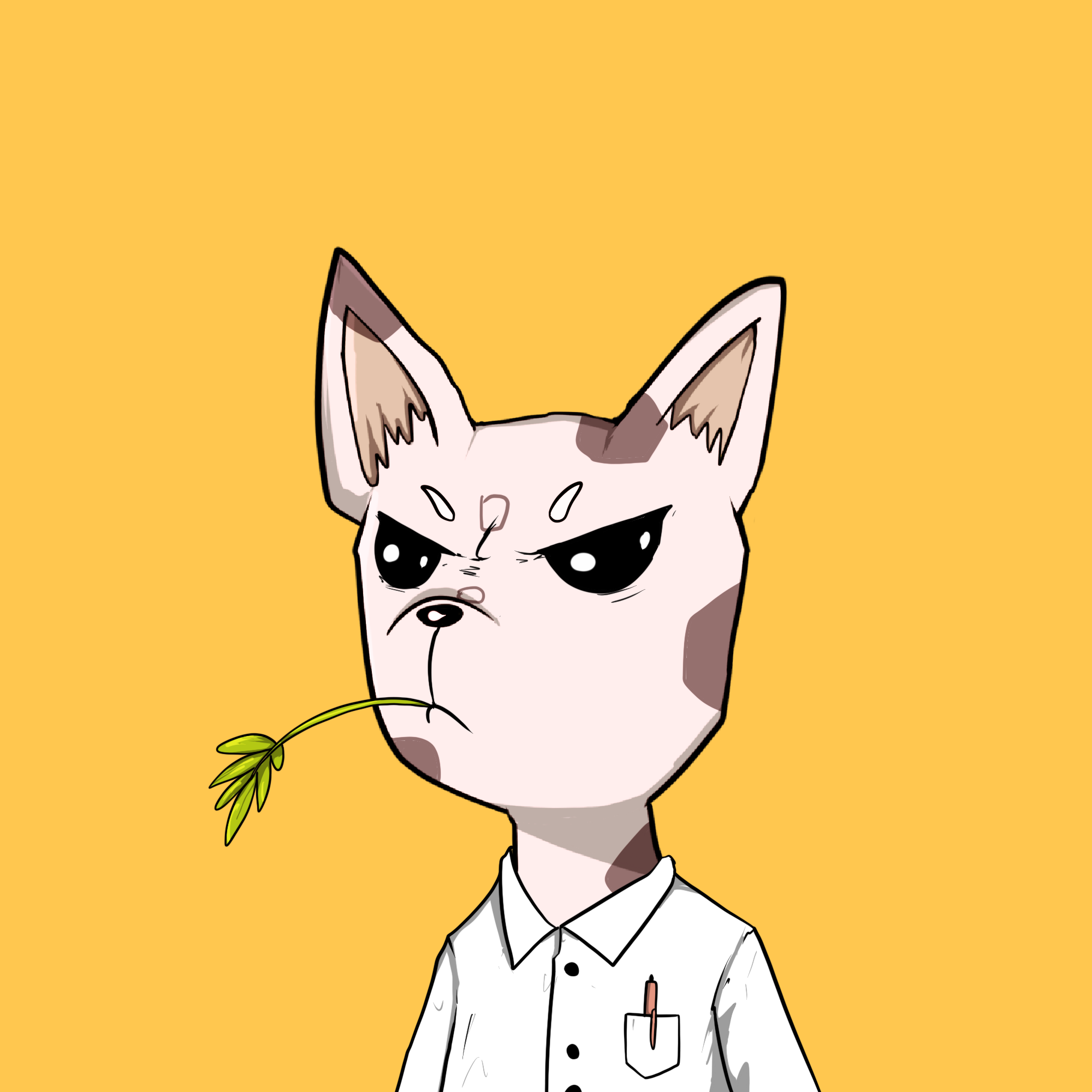 SmolpNFT #691