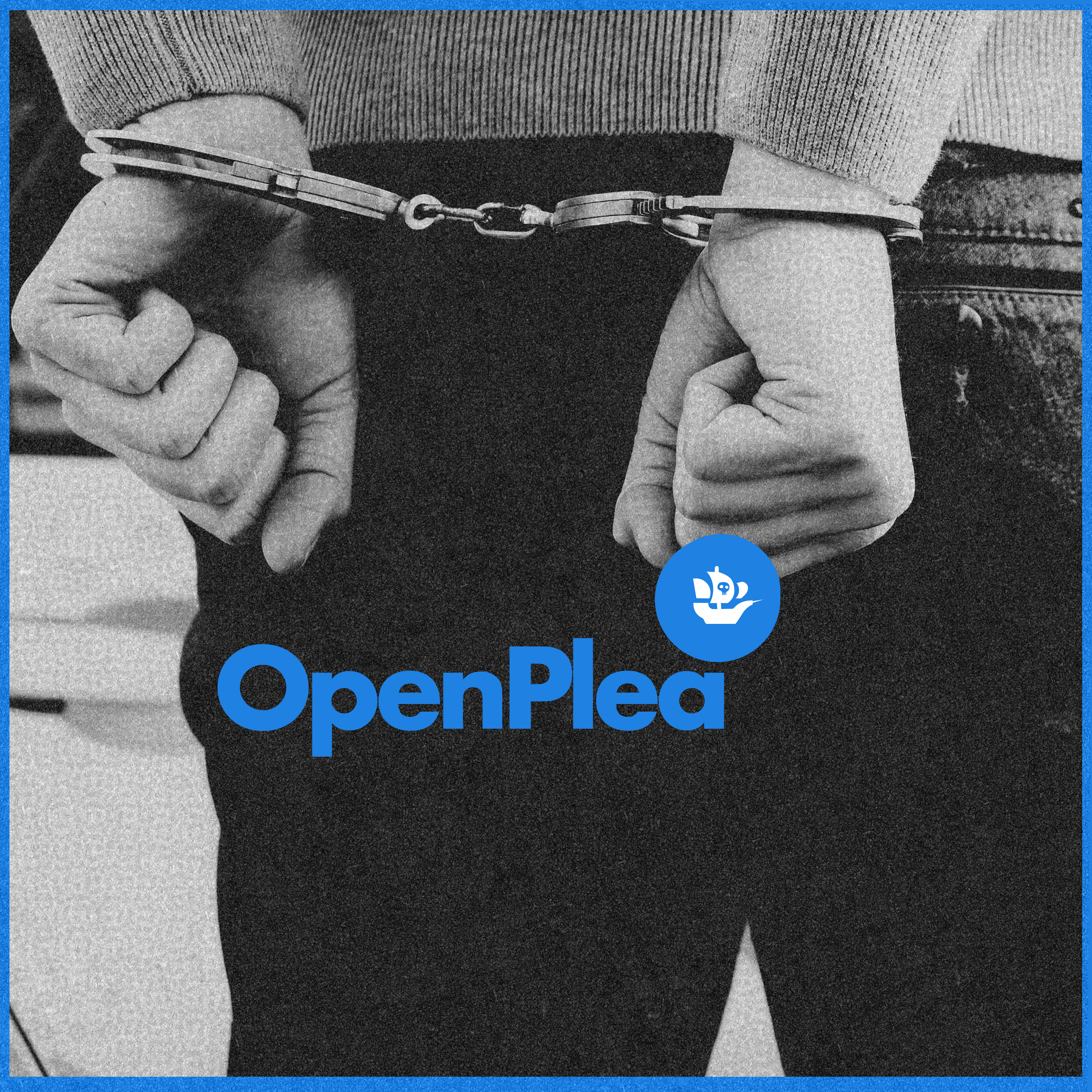 OpenPlea, 2022