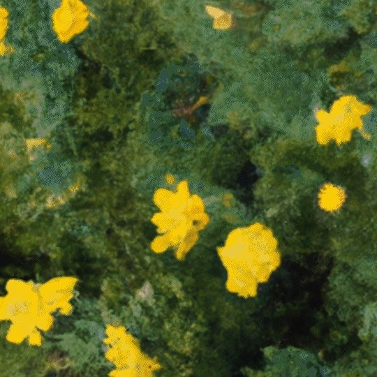 sedatives (with demotapes) #7