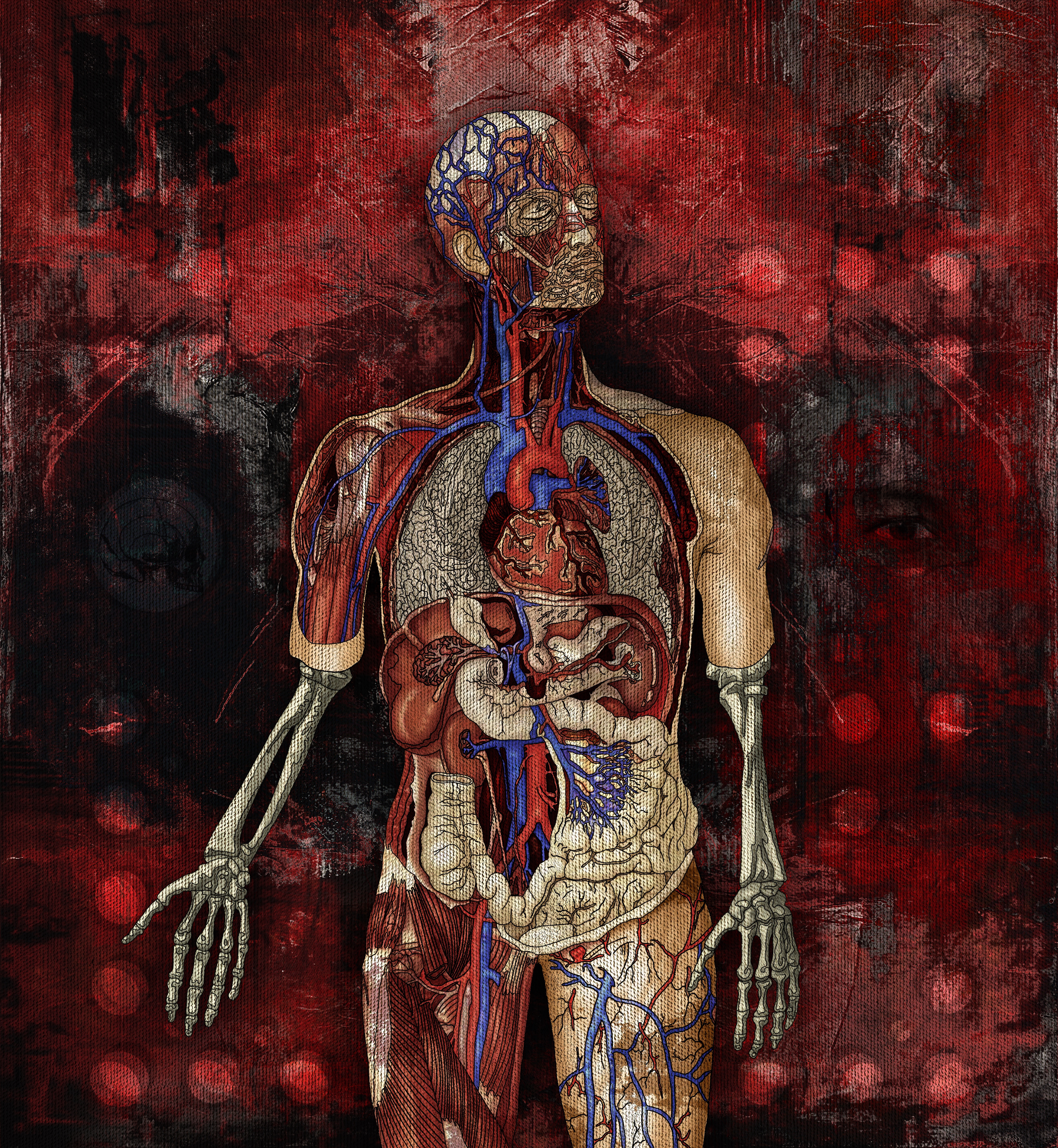 Can You See Through Me? 