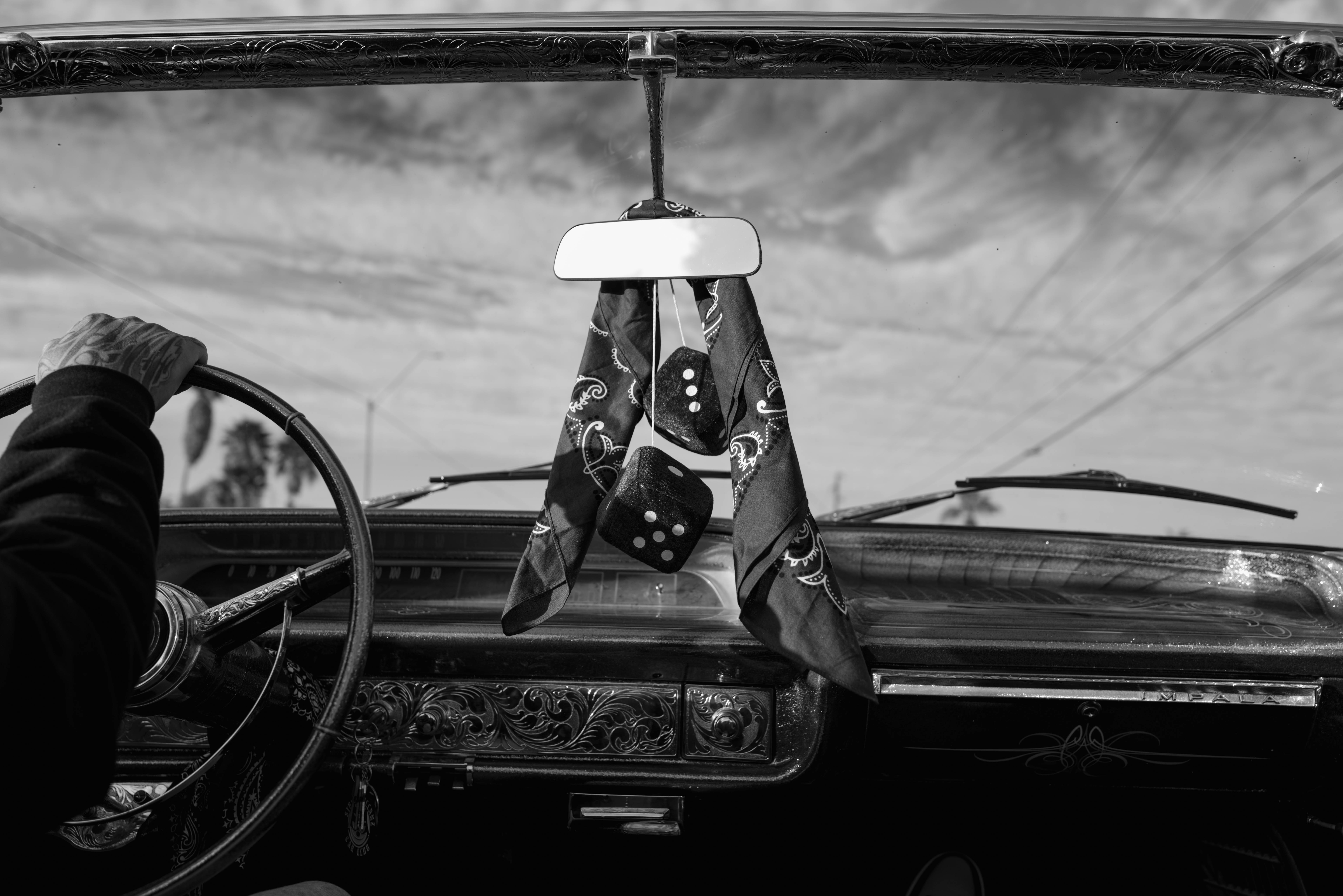 Tin Lizards Untitled #80