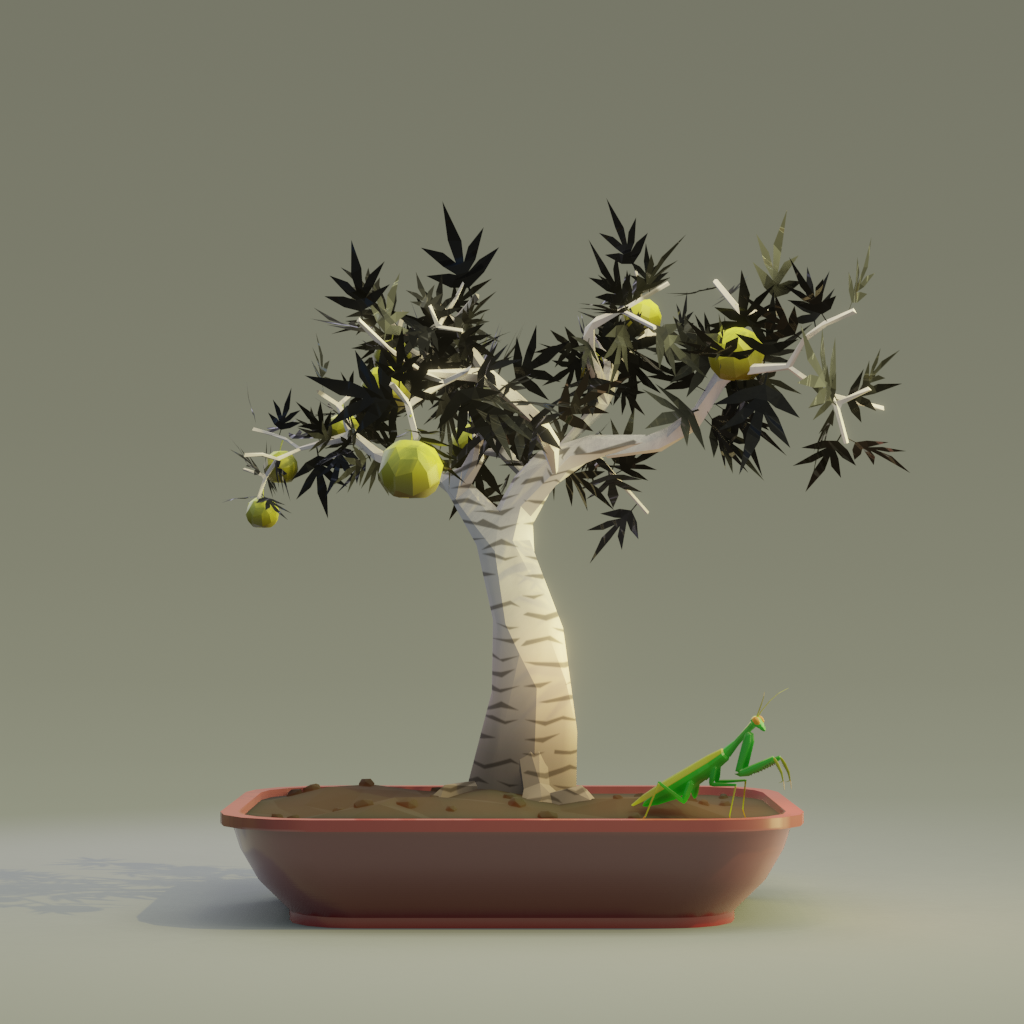 Bonsai #1247