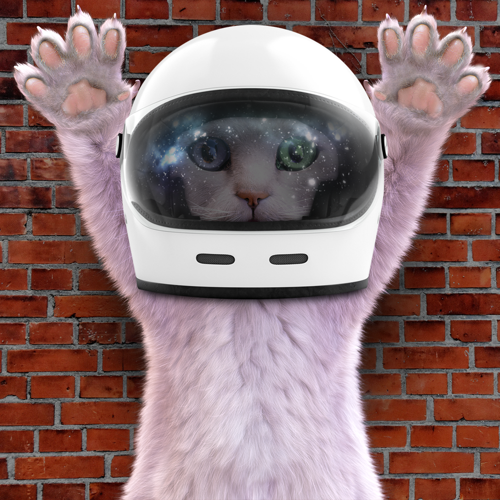 I'm A Kitty Cat #133