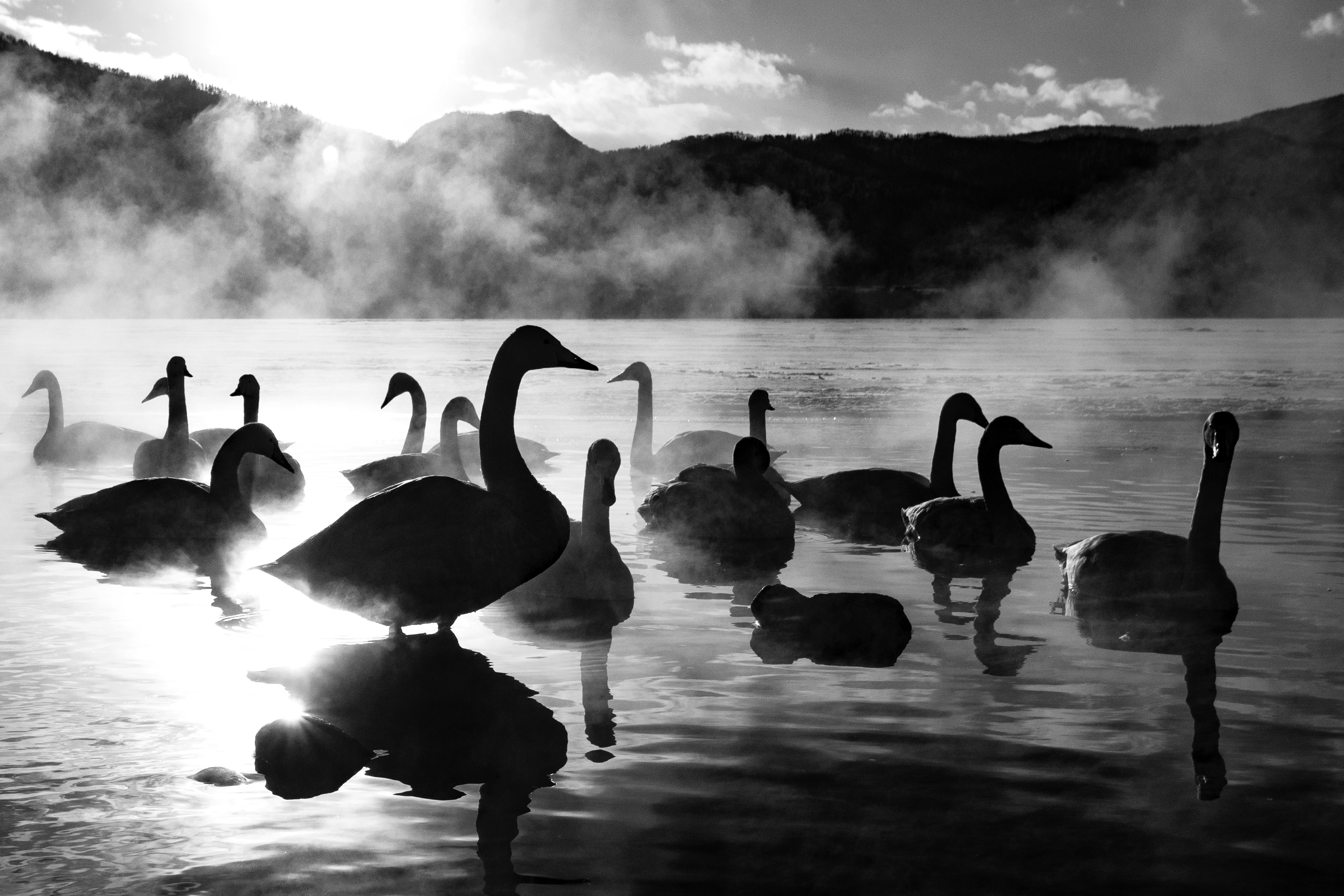 Hope and Help, Always