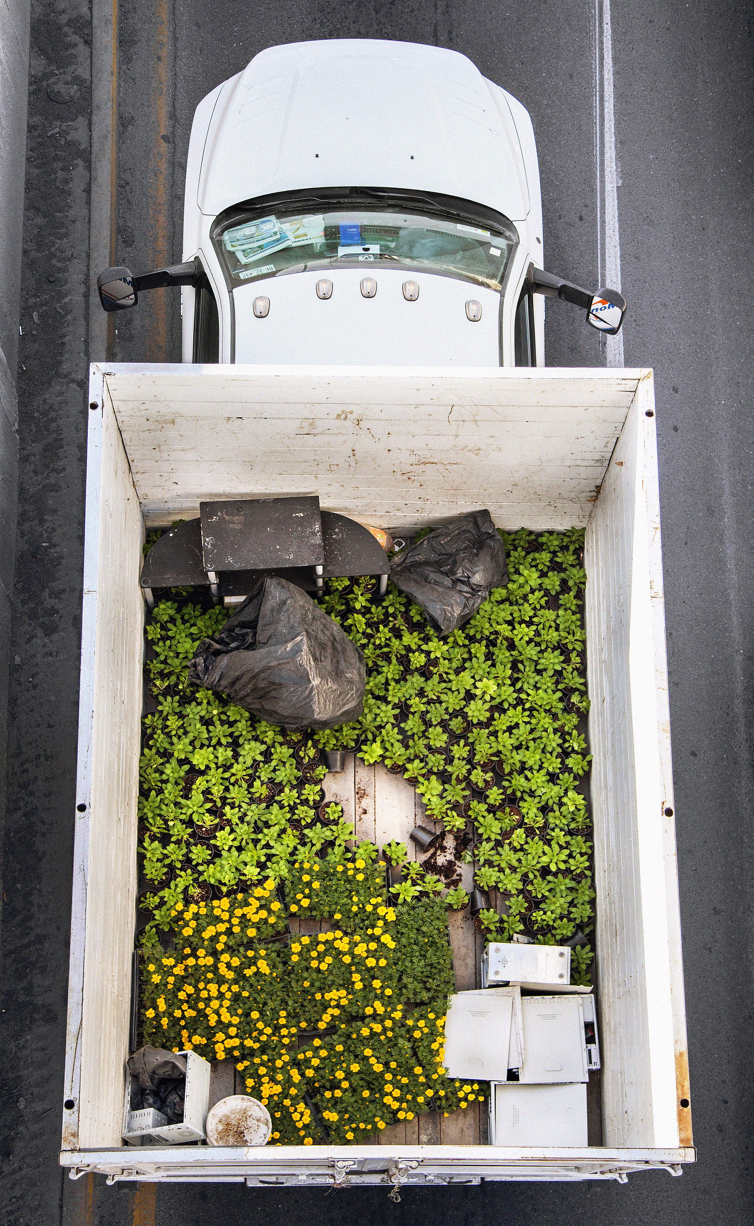 Urban Transportation Plants