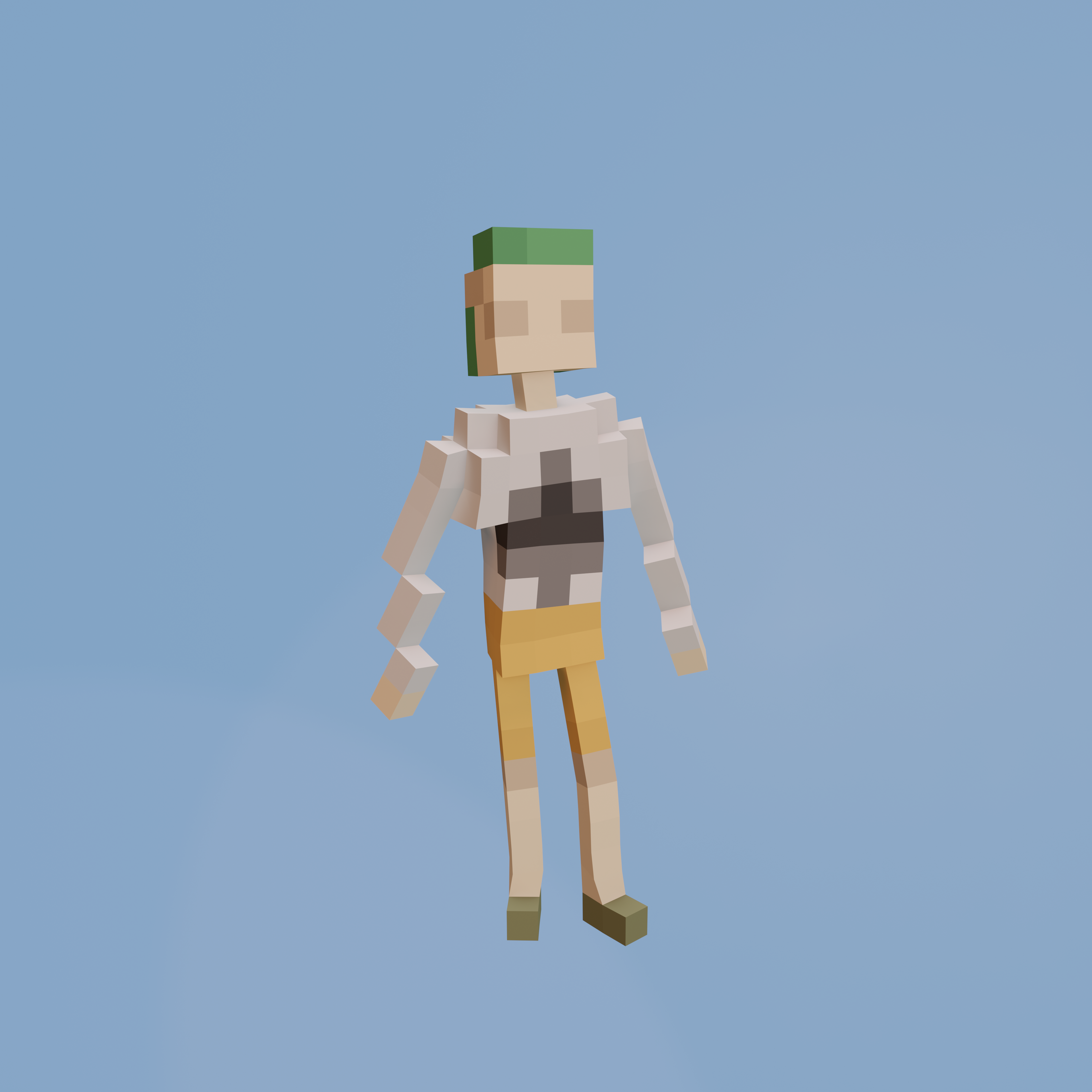 Voxel Ville Avatar #1249
