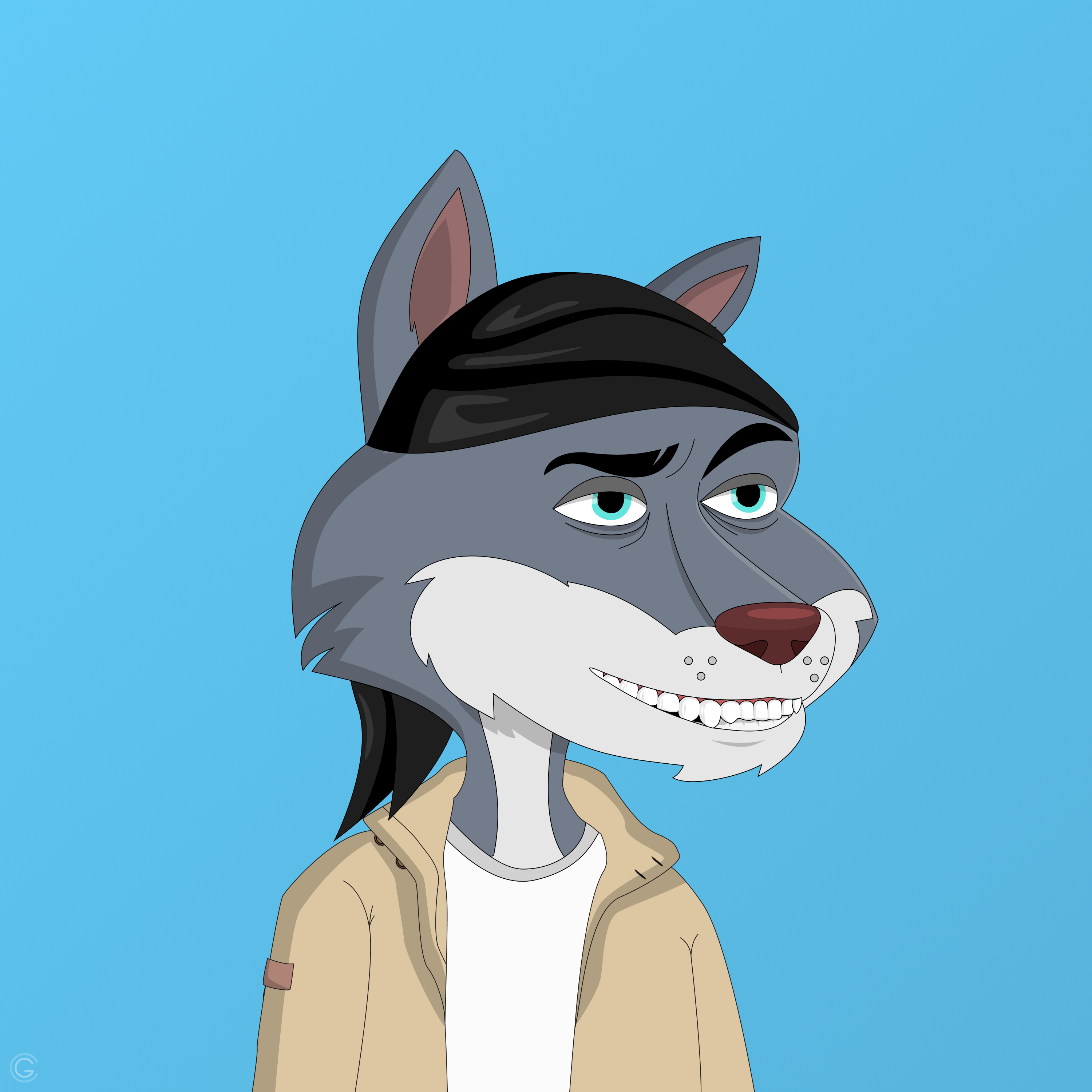 Billionaire Coyote #1523