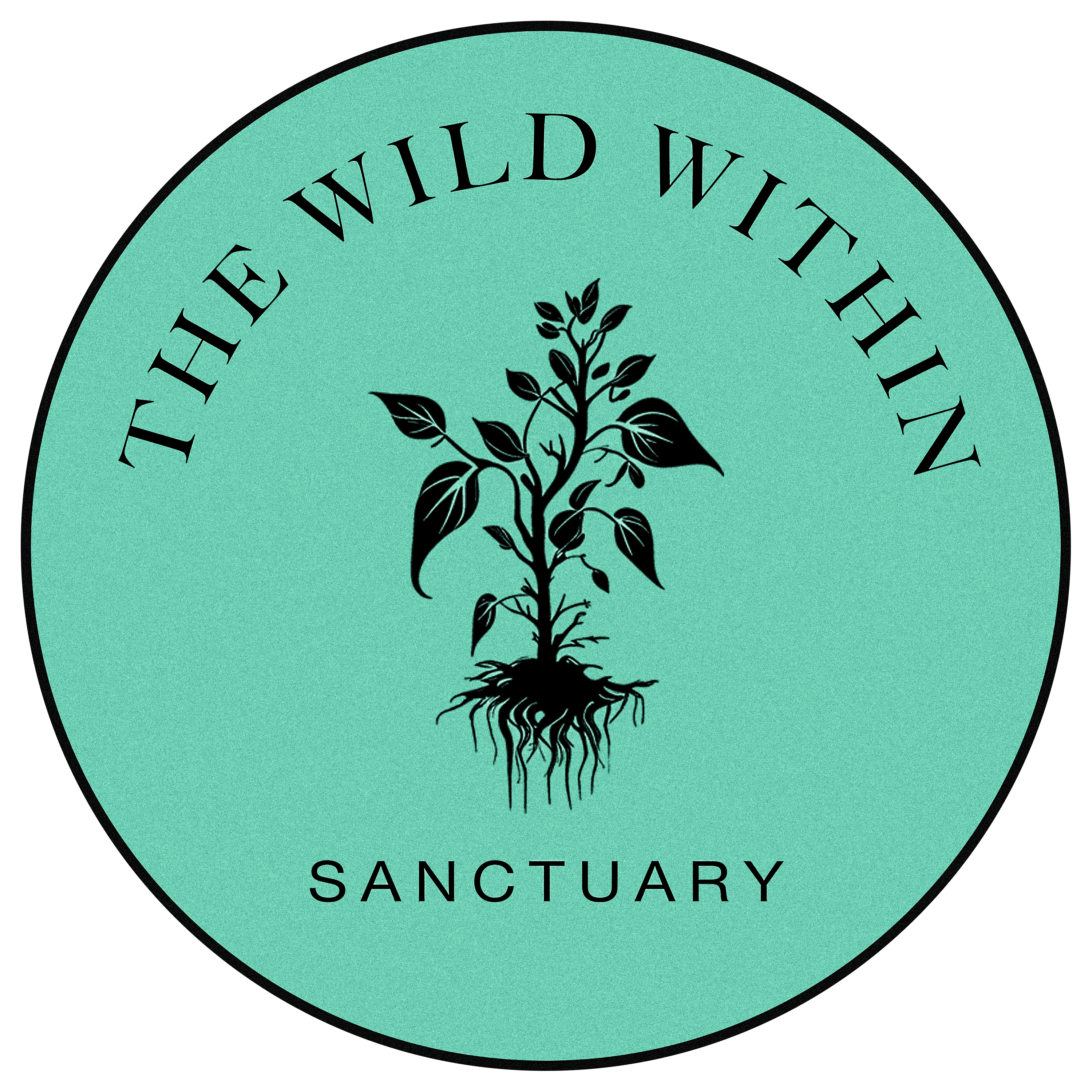 Proof of Attendance Token - Sanctuary