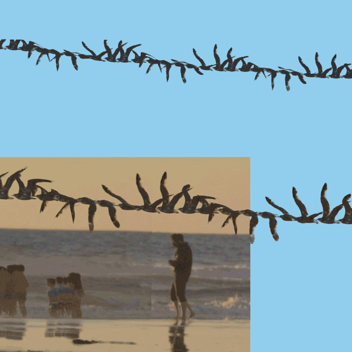 Iteration |||||||||||||