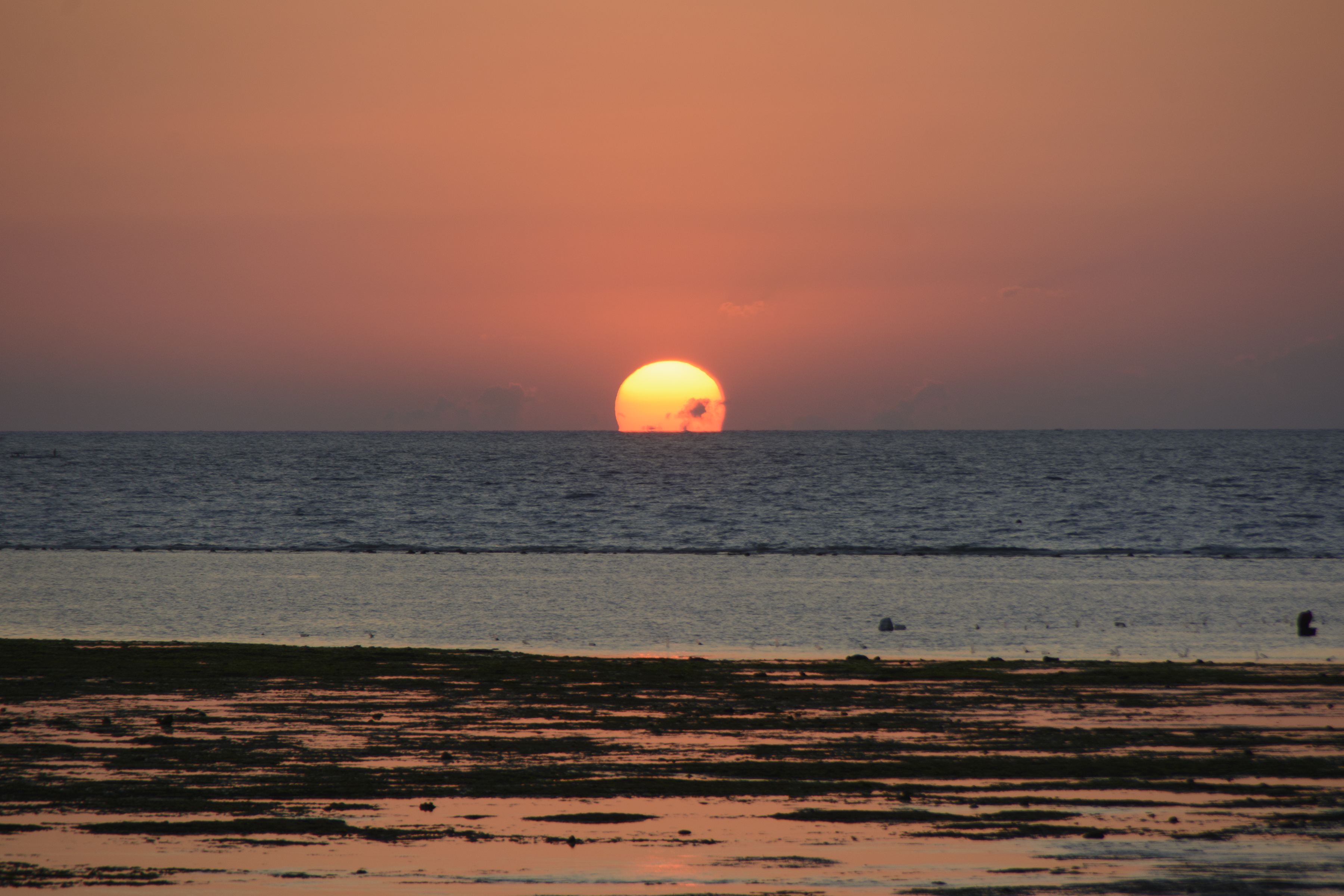 A Picture in Time #31